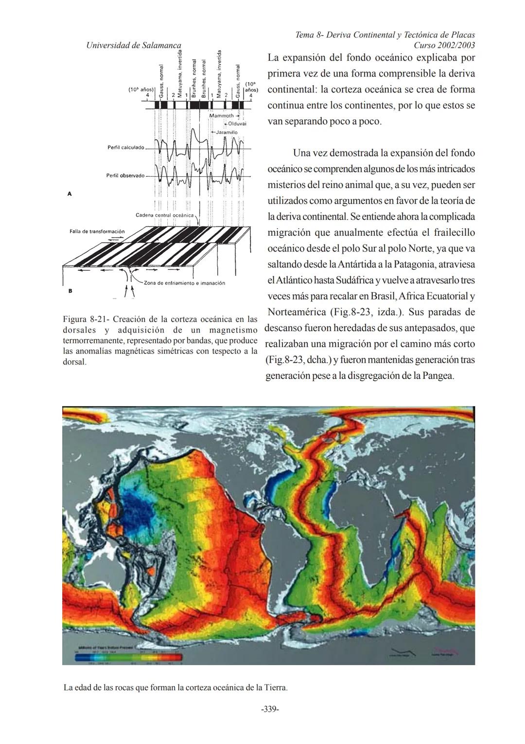 Universidad de Salamanca
Tema 8- Deriva Continental y Tectónica de Placas
Curso 2002/2003
8.-DERIVA CONTINENTAL Y TECTÓNICA
DE PLACAS
8.1