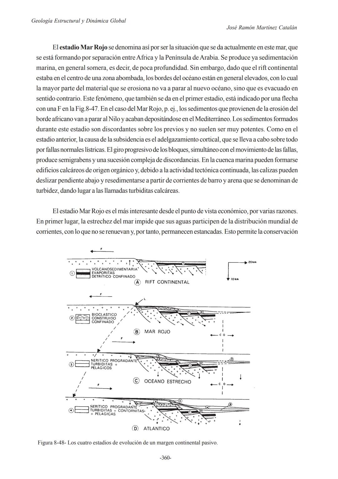Universidad de Salamanca
Tema 8- Deriva Continental y Tectónica de Placas
Curso 2002/2003
8.-DERIVA CONTINENTAL Y TECTÓNICA
DE PLACAS
8.1