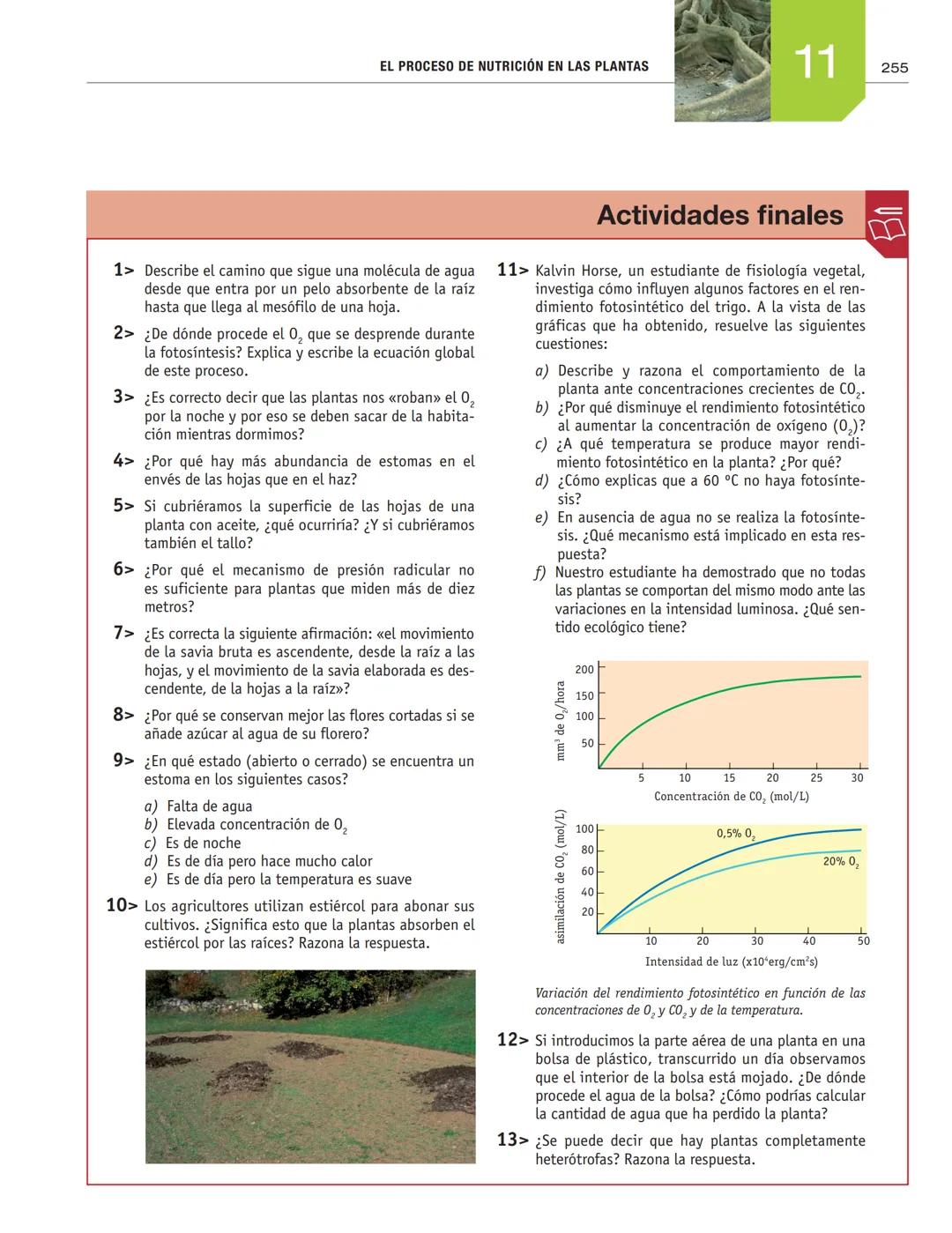 # EL PROCESO DE NUTRICIÓN
# EN LAS PLANTAS
11
En esta unidad aprenderás:
■La función de nutrición en las plantas
■Nutrientes imprescindibl