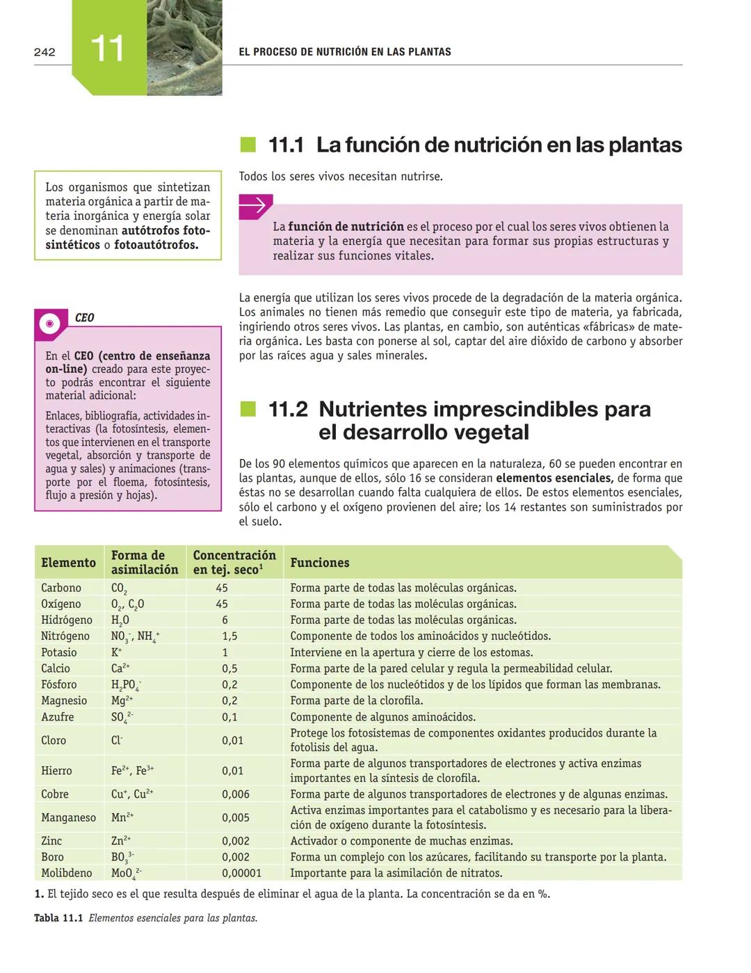 # EL PROCESO DE NUTRICIÓN
# EN LAS PLANTAS
11
En esta unidad aprenderás:
■La función de nutrición en las plantas
■Nutrientes imprescindibl