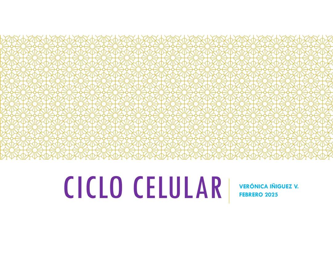 Ciclo celular 1