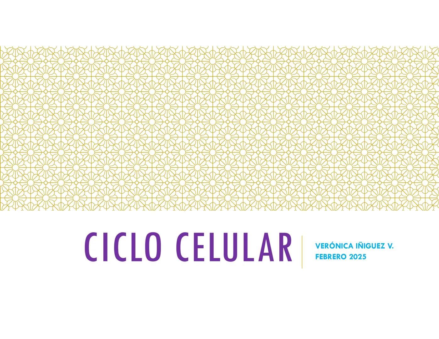 # CICLO CELULAR
VERÓNICA IÑIGUEZ V.
FEBRERO 2025 # CICLO CELULAR
El ciclo celular es la secuencia de actividades que ocurren de una divis