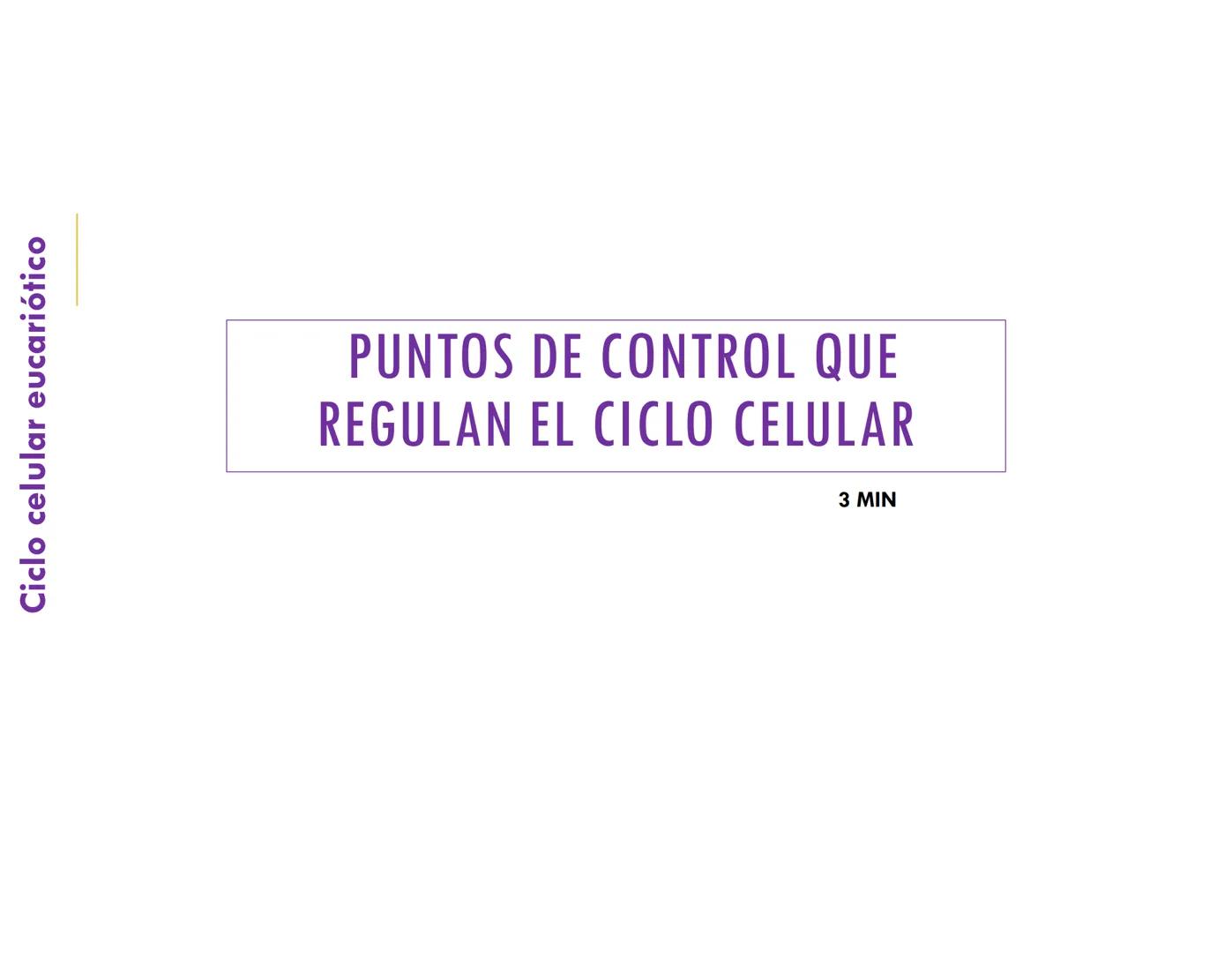 # CICLO CELULAR
VERÓNICA IÑIGUEZ V.
FEBRERO 2025 # CICLO CELULAR
El ciclo celular es la secuencia de actividades que ocurren de una divis