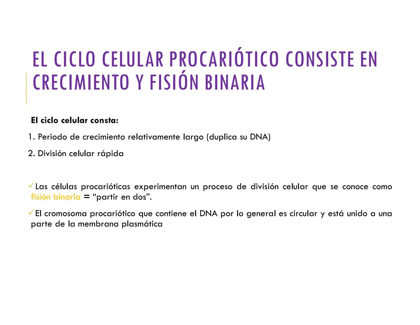 # CICLO CELULAR
VERÓNICA IÑIGUEZ V.
FEBRERO 2025 # CICLO CELULAR
El ciclo celular es la secuencia de actividades que ocurren de una divis