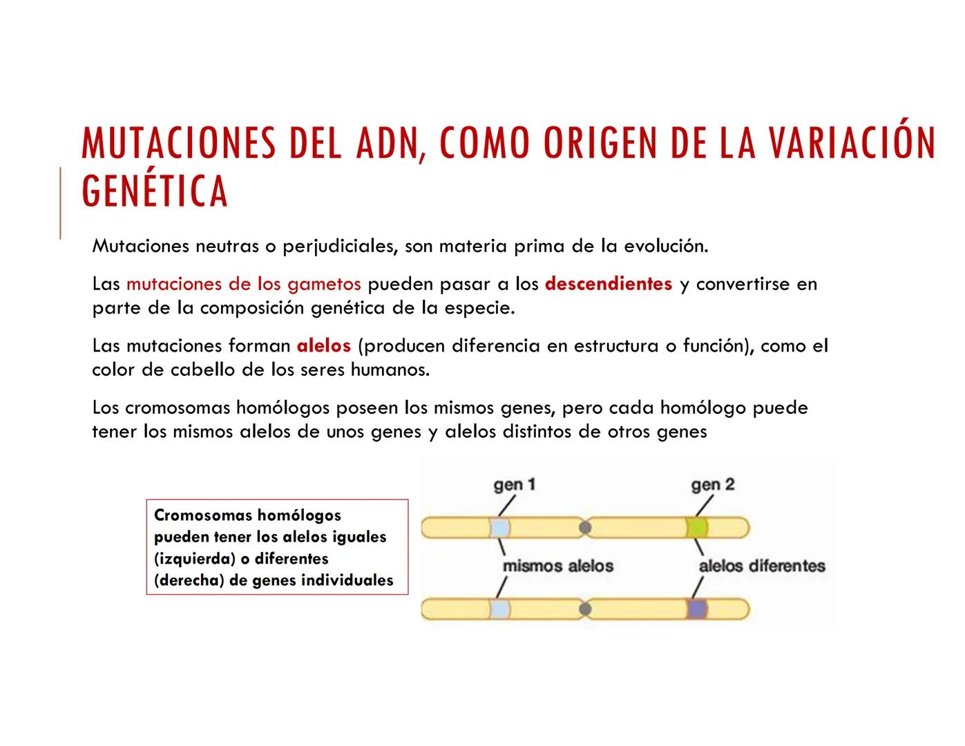 CICLO CELULAR PARTE 2
VERÓNICA IÑIGUEZ V.
Marzo 2025 # MUTACIONES DEL ADN, COMO ORIGEN DE LA VARIACIÓN
GENÉTICA
Mutaciones neutras o perjud
