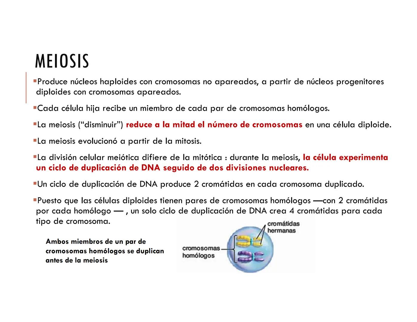 CICLO CELULAR PARTE 2
VERÓNICA IÑIGUEZ V.
Marzo 2025 # MUTACIONES DEL ADN, COMO ORIGEN DE LA VARIACIÓN
GENÉTICA
Mutaciones neutras o perjud