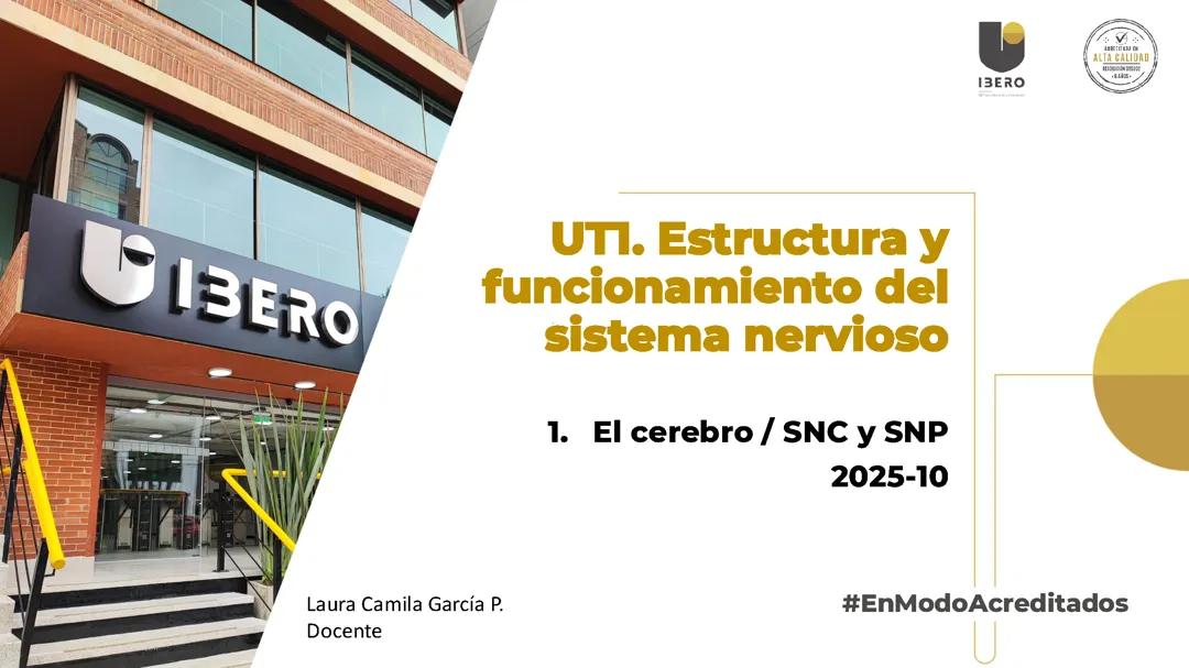 Estructura y función del sistema nervioso