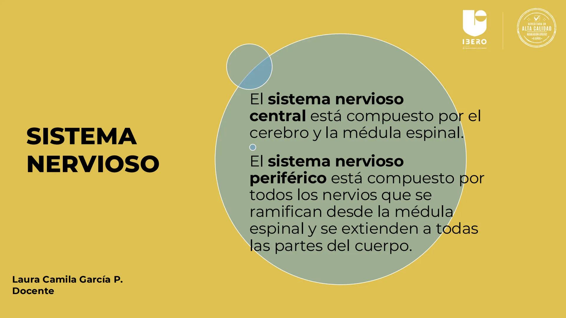 --- OCR Start ---
GIBERO
UTI. Estructura y
funcionamiento del
sistema nervioso
1. El cerebro / SNC y SNP
2025-10
Laura Camila García P.
Doce