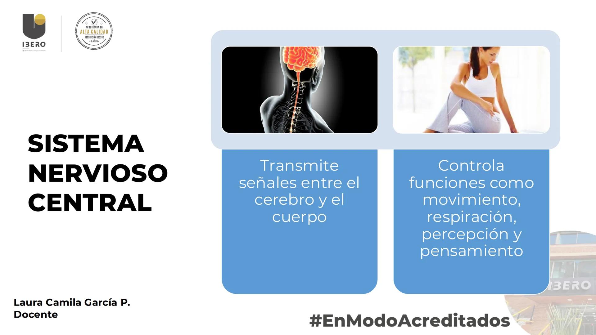 --- OCR Start ---
GIBERO
UTI. Estructura y
funcionamiento del
sistema nervioso
1. El cerebro / SNC y SNP
2025-10
Laura Camila García P.
Doce