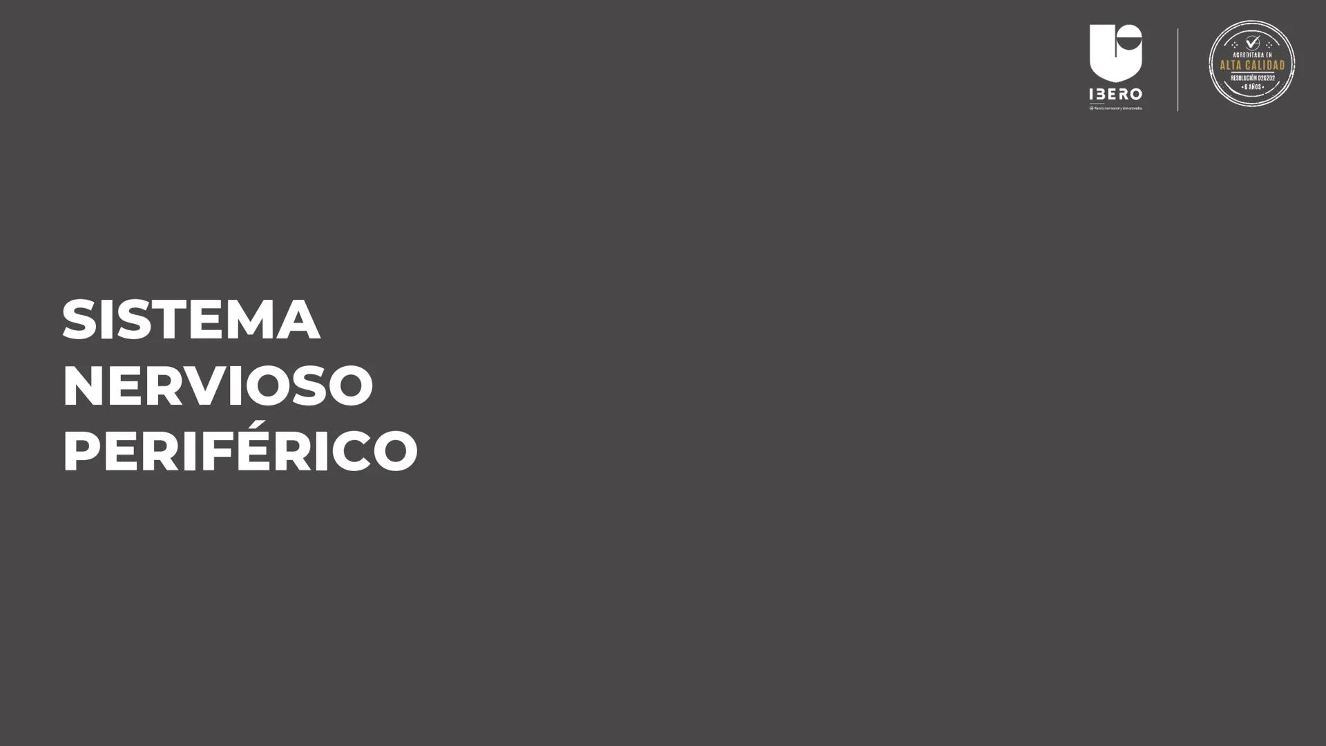 --- OCR Start ---
GIBERO
UTI. Estructura y
funcionamiento del
sistema nervioso
1. El cerebro / SNC y SNP
2025-10
Laura Camila García P.
Doce
