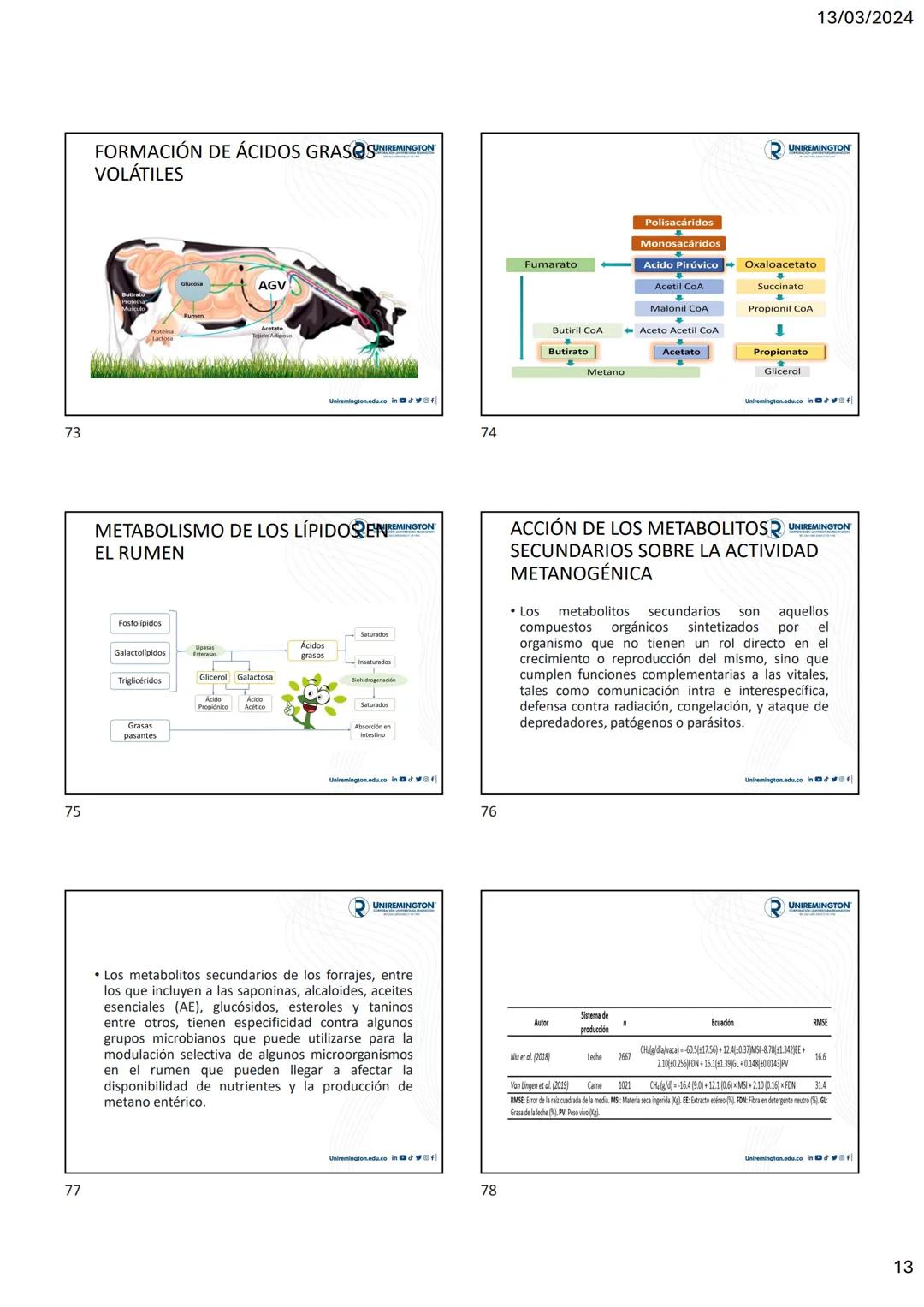 1
3
२
UNIREMINGTON
CORPORACIÓN UNIVERSITARIA REMINGTON
RES. 2661 MEN JUNIO 21 DE 1996
UNIREMINGTON
2
13/03/2024
UNIREMINGTON
• Nutrigen