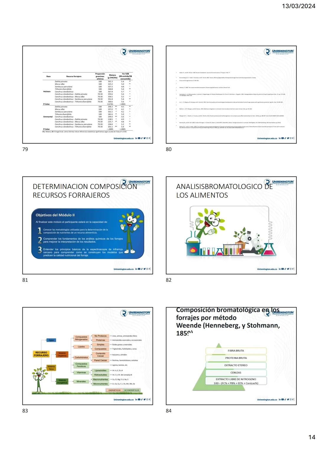 1
3
२
UNIREMINGTON
CORPORACIÓN UNIVERSITARIA REMINGTON
RES. 2661 MEN JUNIO 21 DE 1996
UNIREMINGTON
2
13/03/2024
UNIREMINGTON
• Nutrigen