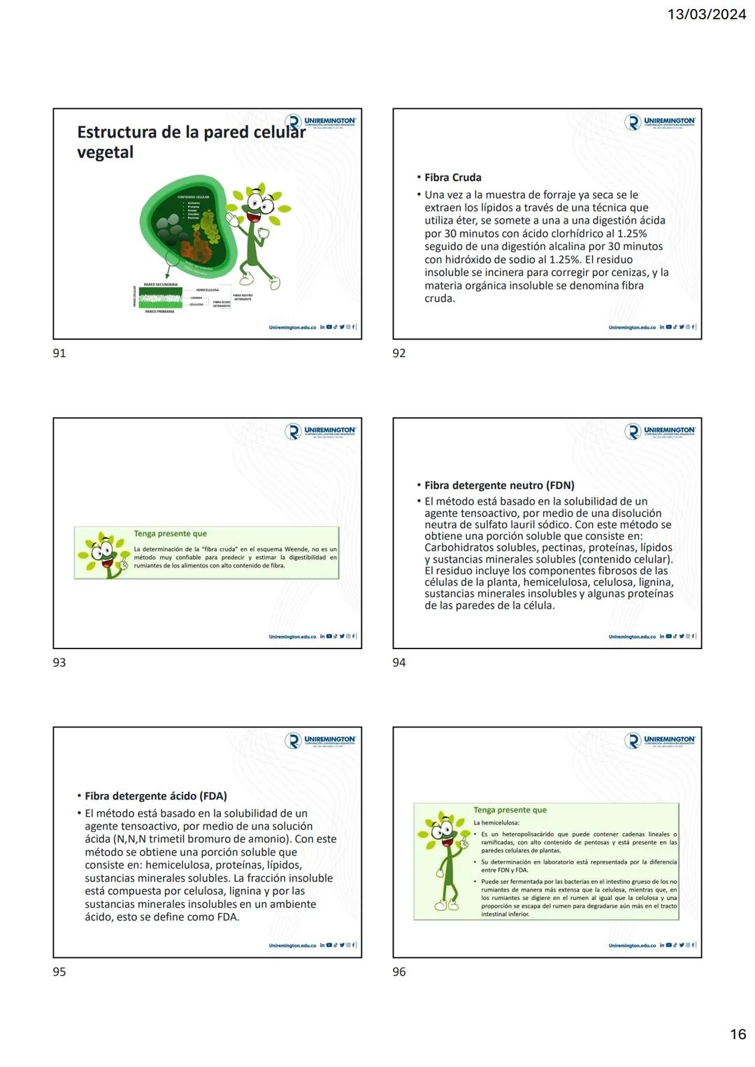 1
3
२
UNIREMINGTON
CORPORACIÓN UNIVERSITARIA REMINGTON
RES. 2661 MEN JUNIO 21 DE 1996
UNIREMINGTON
2
13/03/2024
UNIREMINGTON
• Nutrigen