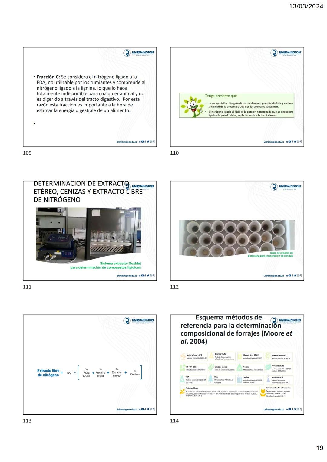 1
3
२
UNIREMINGTON
CORPORACIÓN UNIVERSITARIA REMINGTON
RES. 2661 MEN JUNIO 21 DE 1996
UNIREMINGTON
2
13/03/2024
UNIREMINGTON
• Nutrigen
