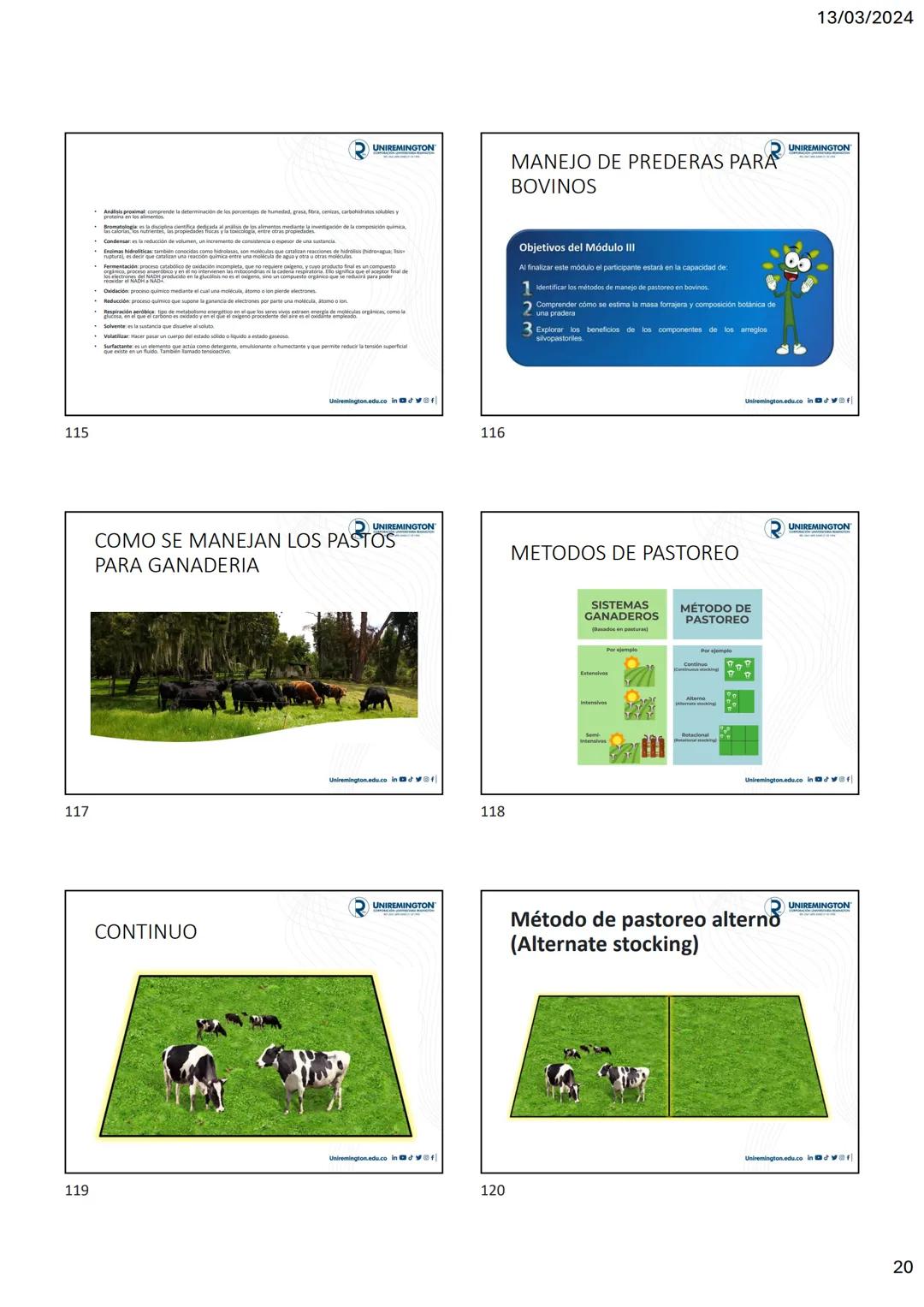 1
3
२
UNIREMINGTON
CORPORACIÓN UNIVERSITARIA REMINGTON
RES. 2661 MEN JUNIO 21 DE 1996
UNIREMINGTON
2
13/03/2024
UNIREMINGTON
• Nutrigen