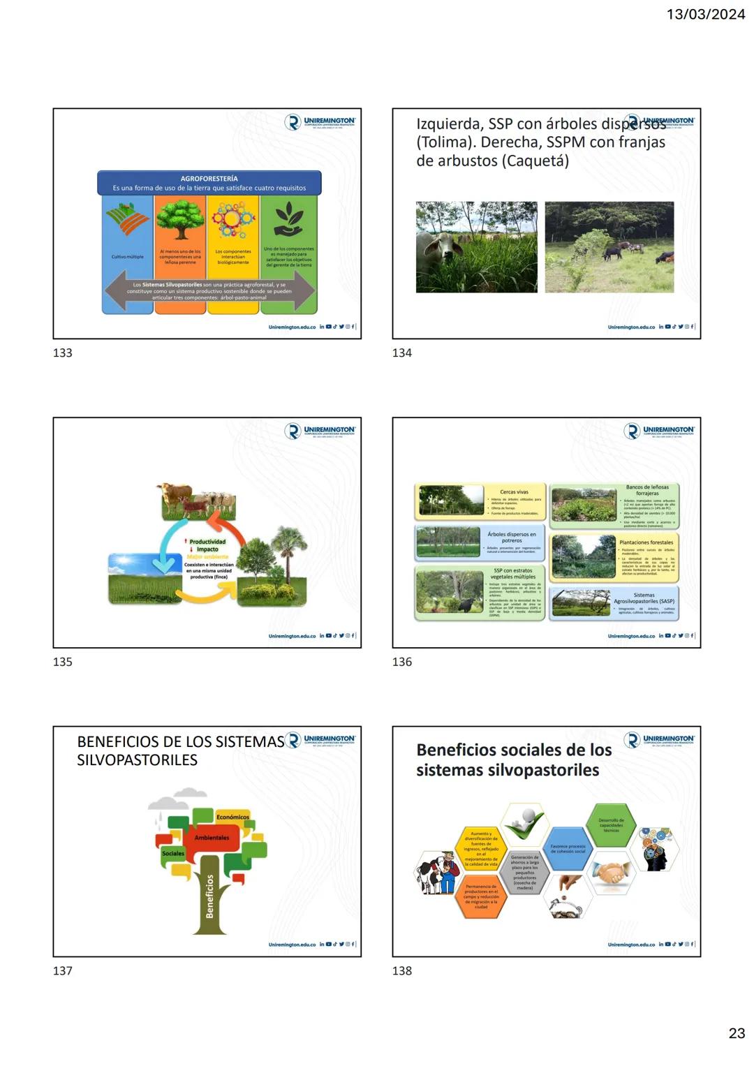 1
3
२
UNIREMINGTON
CORPORACIÓN UNIVERSITARIA REMINGTON
RES. 2661 MEN JUNIO 21 DE 1996
UNIREMINGTON
2
13/03/2024
UNIREMINGTON
• Nutrigen