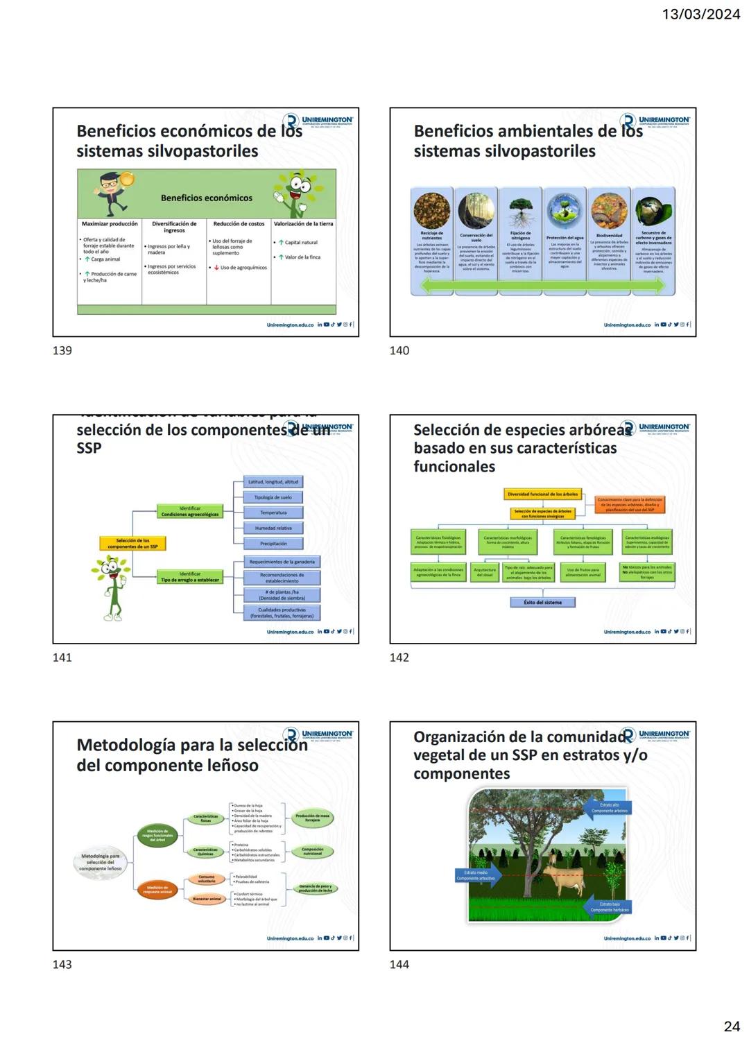 1
3
२
UNIREMINGTON
CORPORACIÓN UNIVERSITARIA REMINGTON
RES. 2661 MEN JUNIO 21 DE 1996
UNIREMINGTON
2
13/03/2024
UNIREMINGTON
• Nutrigen