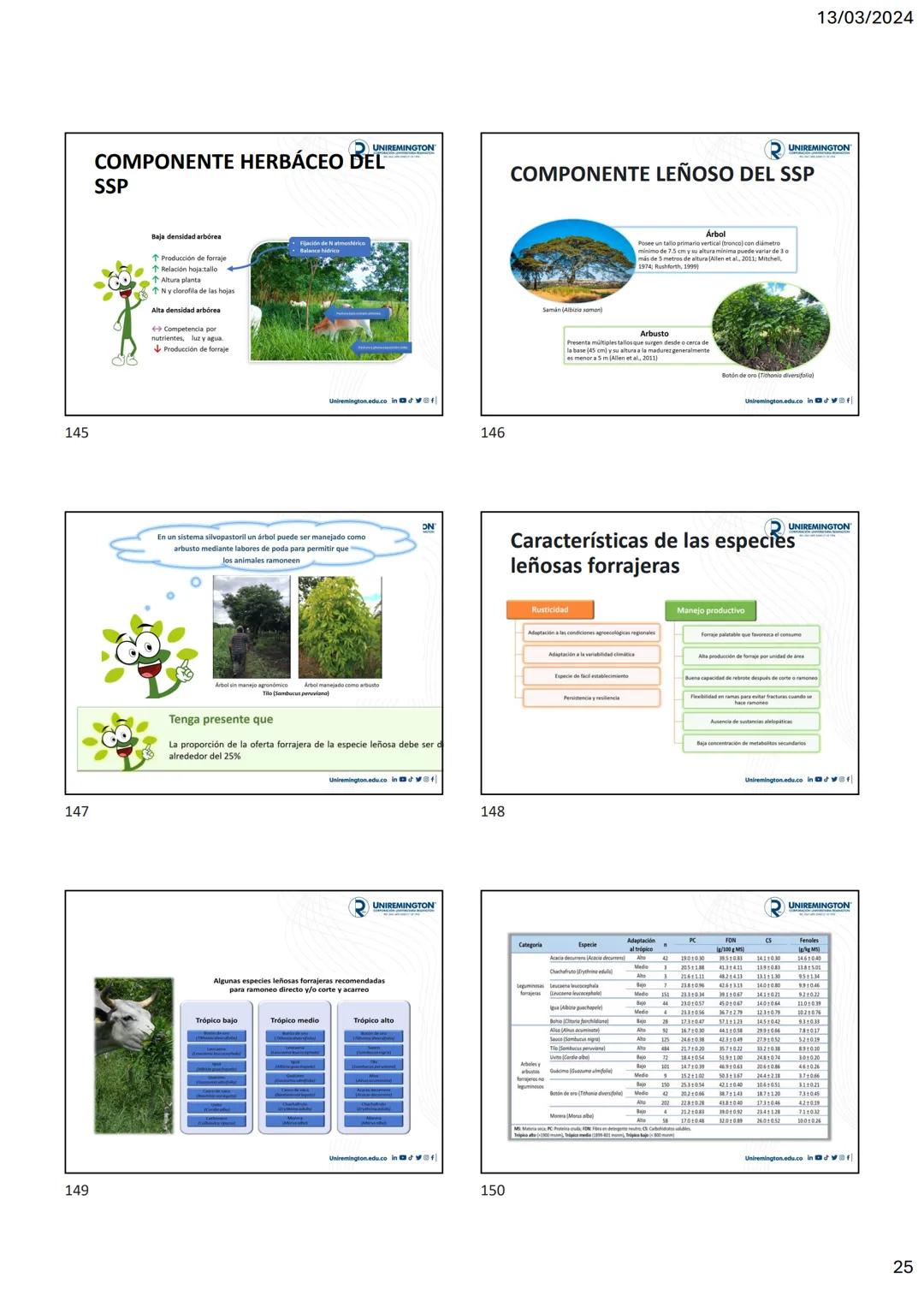 1
3
२
UNIREMINGTON
CORPORACIÓN UNIVERSITARIA REMINGTON
RES. 2661 MEN JUNIO 21 DE 1996
UNIREMINGTON
2
13/03/2024
UNIREMINGTON
• Nutrigen