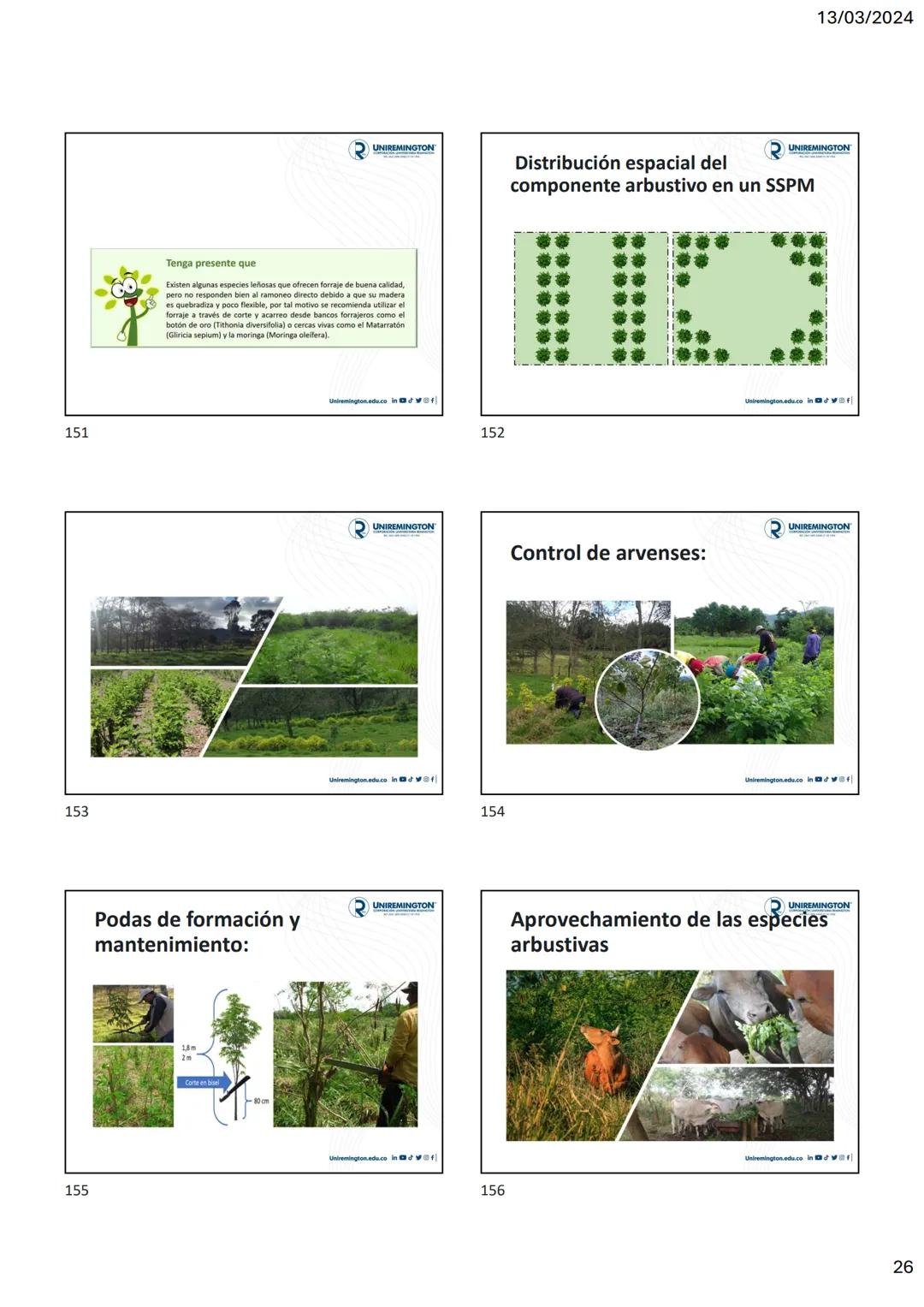 1
3
२
UNIREMINGTON
CORPORACIÓN UNIVERSITARIA REMINGTON
RES. 2661 MEN JUNIO 21 DE 1996
UNIREMINGTON
2
13/03/2024
UNIREMINGTON
• Nutrigen