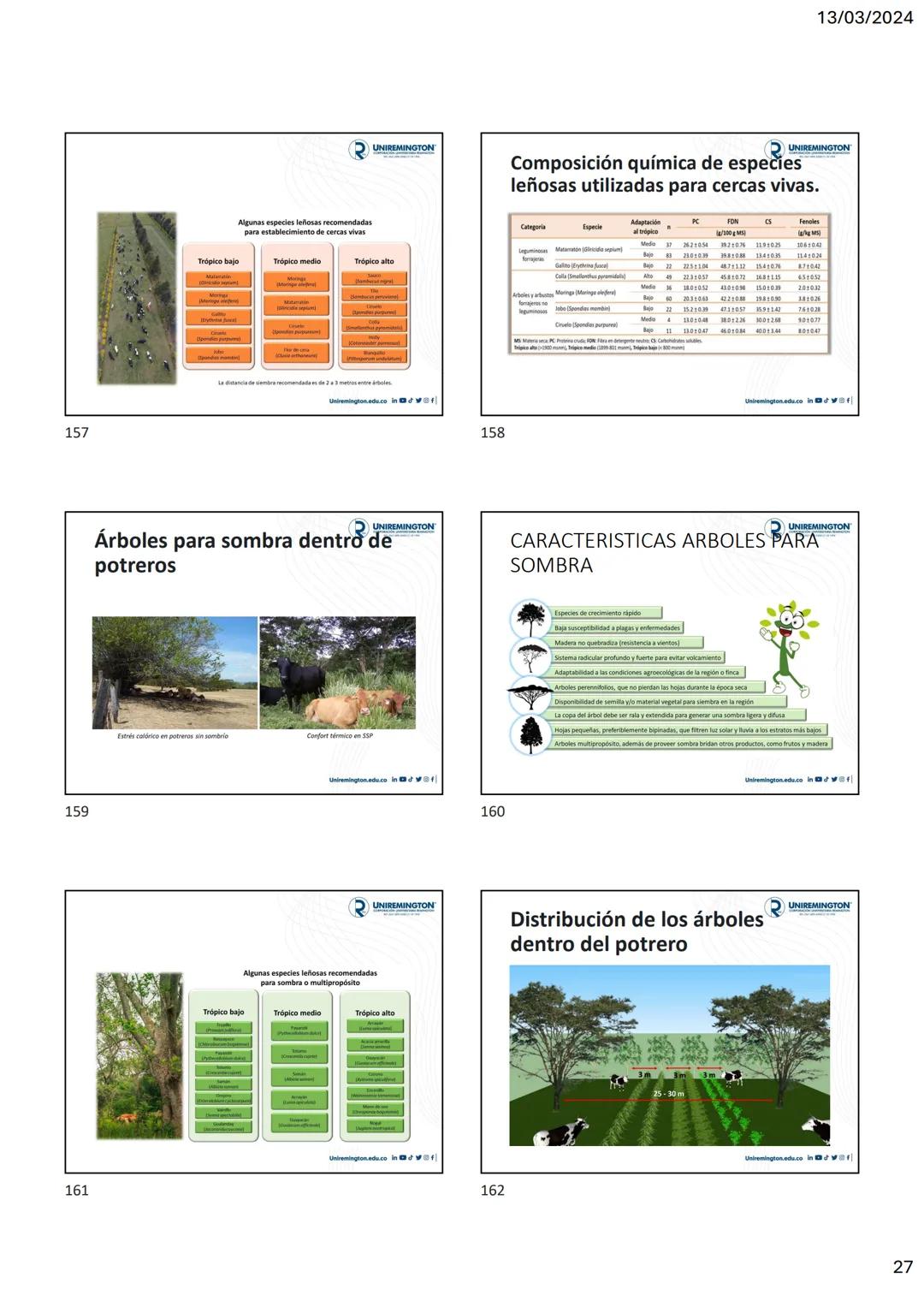 1
3
२
UNIREMINGTON
CORPORACIÓN UNIVERSITARIA REMINGTON
RES. 2661 MEN JUNIO 21 DE 1996
UNIREMINGTON
2
13/03/2024
UNIREMINGTON
• Nutrigen