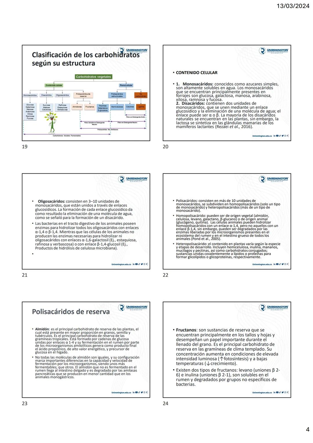 1
3
२
UNIREMINGTON
CORPORACIÓN UNIVERSITARIA REMINGTON
RES. 2661 MEN JUNIO 21 DE 1996
UNIREMINGTON
2
13/03/2024
UNIREMINGTON
• Nutrigen