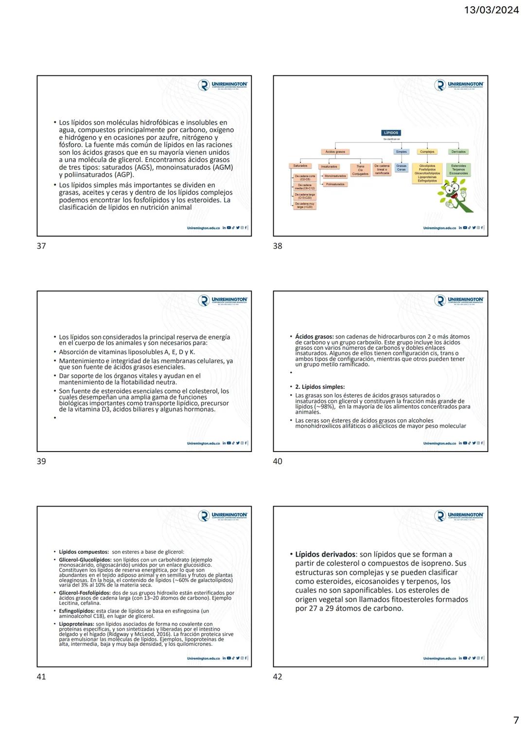 1
3
२
UNIREMINGTON
CORPORACIÓN UNIVERSITARIA REMINGTON
RES. 2661 MEN JUNIO 21 DE 1996
UNIREMINGTON
2
13/03/2024
UNIREMINGTON
• Nutrigen