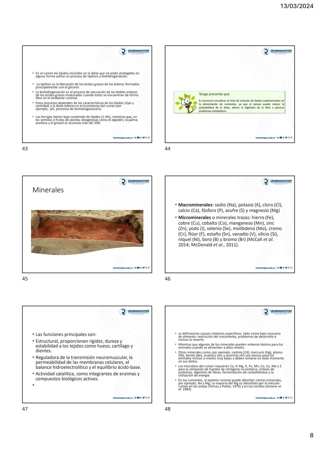 1
3
२
UNIREMINGTON
CORPORACIÓN UNIVERSITARIA REMINGTON
RES. 2661 MEN JUNIO 21 DE 1996
UNIREMINGTON
2
13/03/2024
UNIREMINGTON
• Nutrigen