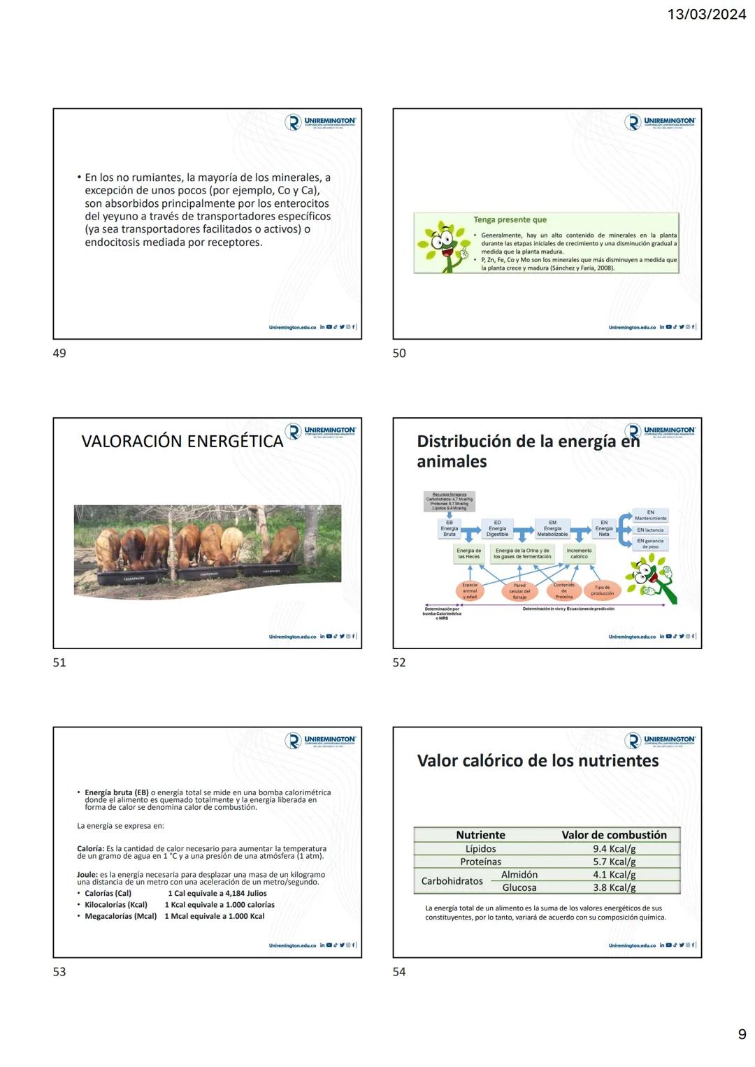 1
3
२
UNIREMINGTON
CORPORACIÓN UNIVERSITARIA REMINGTON
RES. 2661 MEN JUNIO 21 DE 1996
UNIREMINGTON
2
13/03/2024
UNIREMINGTON
• Nutrigen