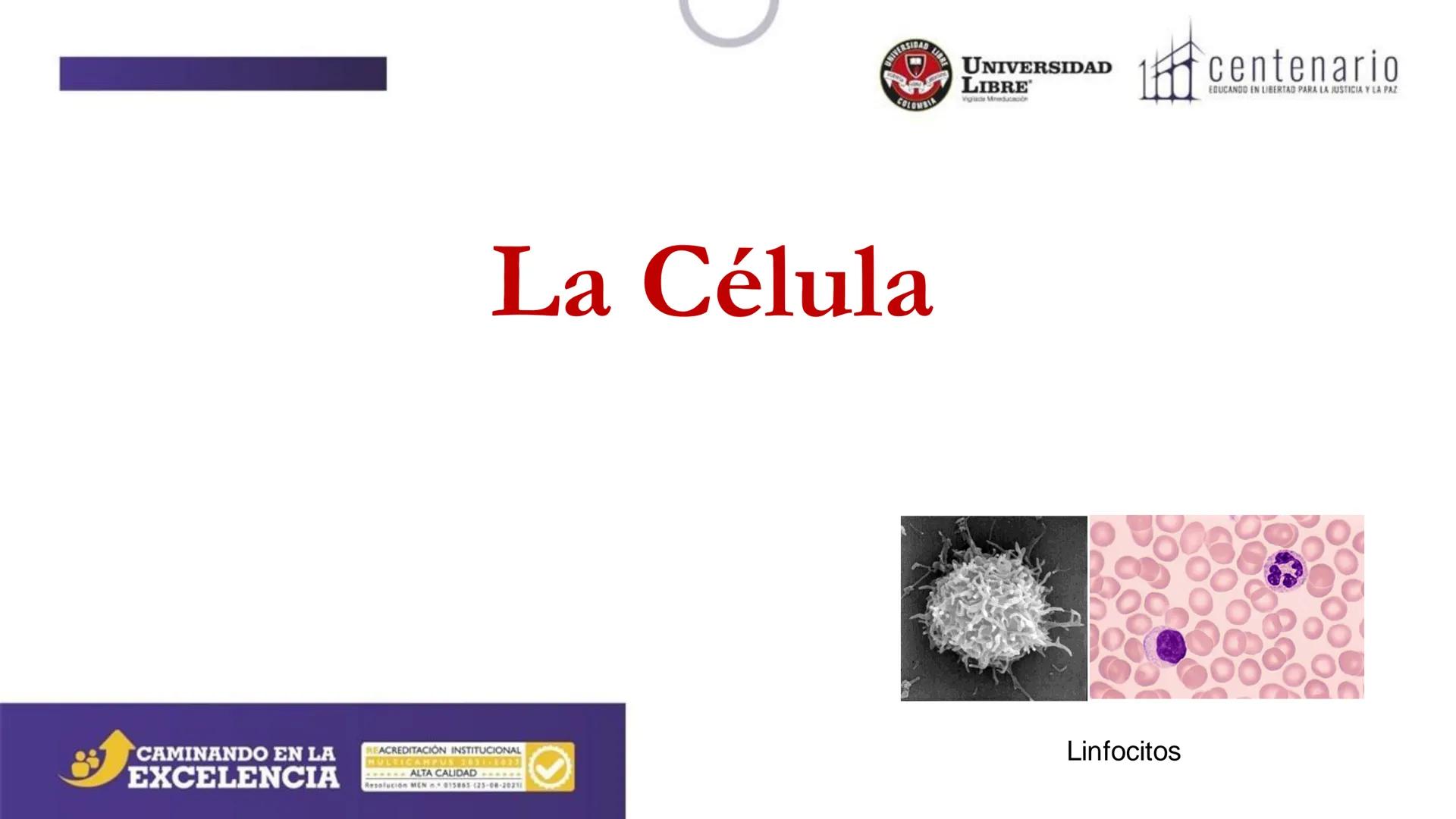 NIVERSIDAD LIBRE
COLOMBIA
UNIVERSIDAD
LIBRE
Viglade Mineducación
centenario
EDUCANDO EN LIBERTAD PARA LA JUSTICIA Y LA PAZ
# La Célula
C