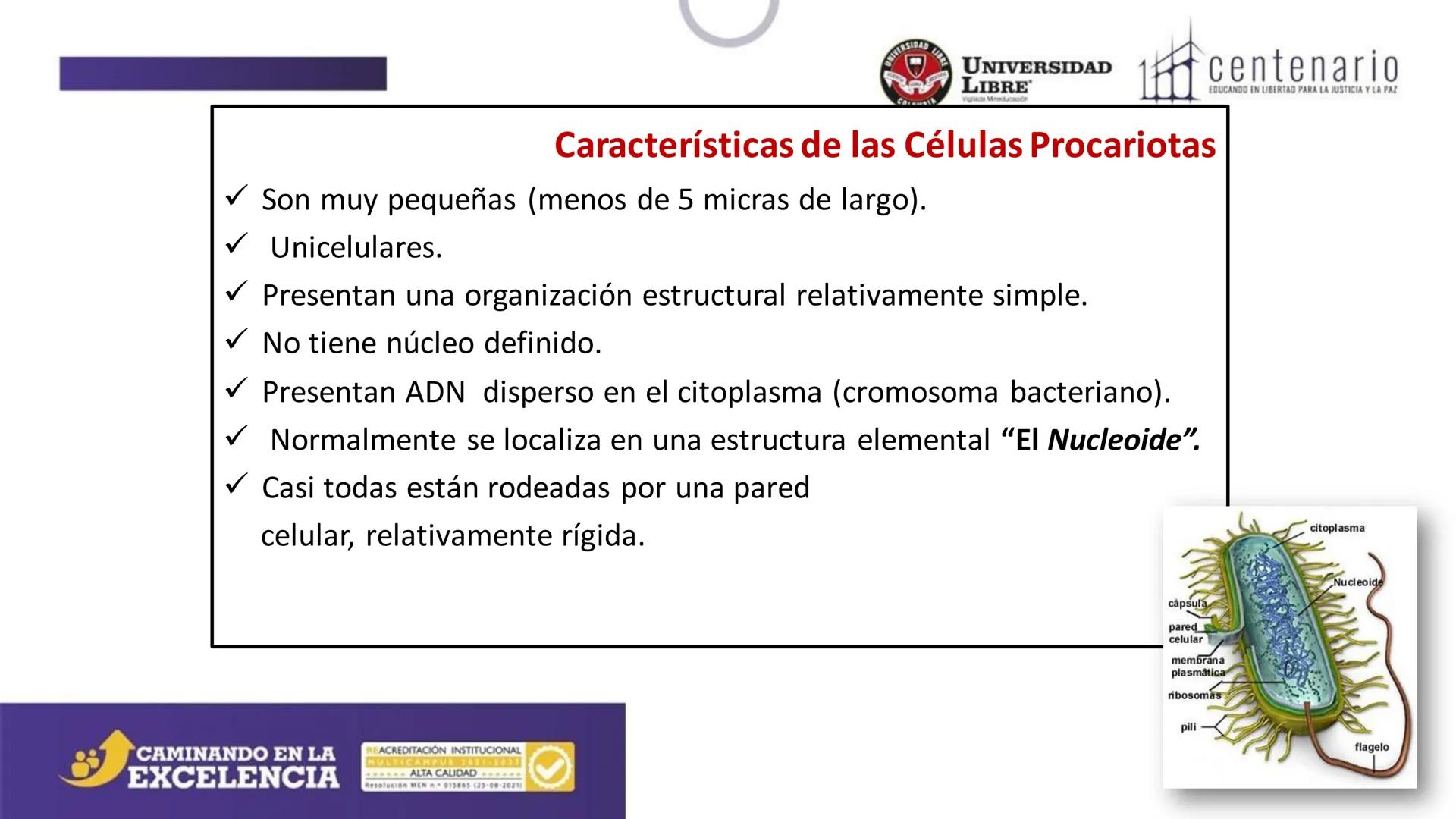 NIVERSIDAD LIBRE
COLOMBIA
UNIVERSIDAD
LIBRE
Viglade Mineducación
centenario
EDUCANDO EN LIBERTAD PARA LA JUSTICIA Y LA PAZ
# La Célula
C