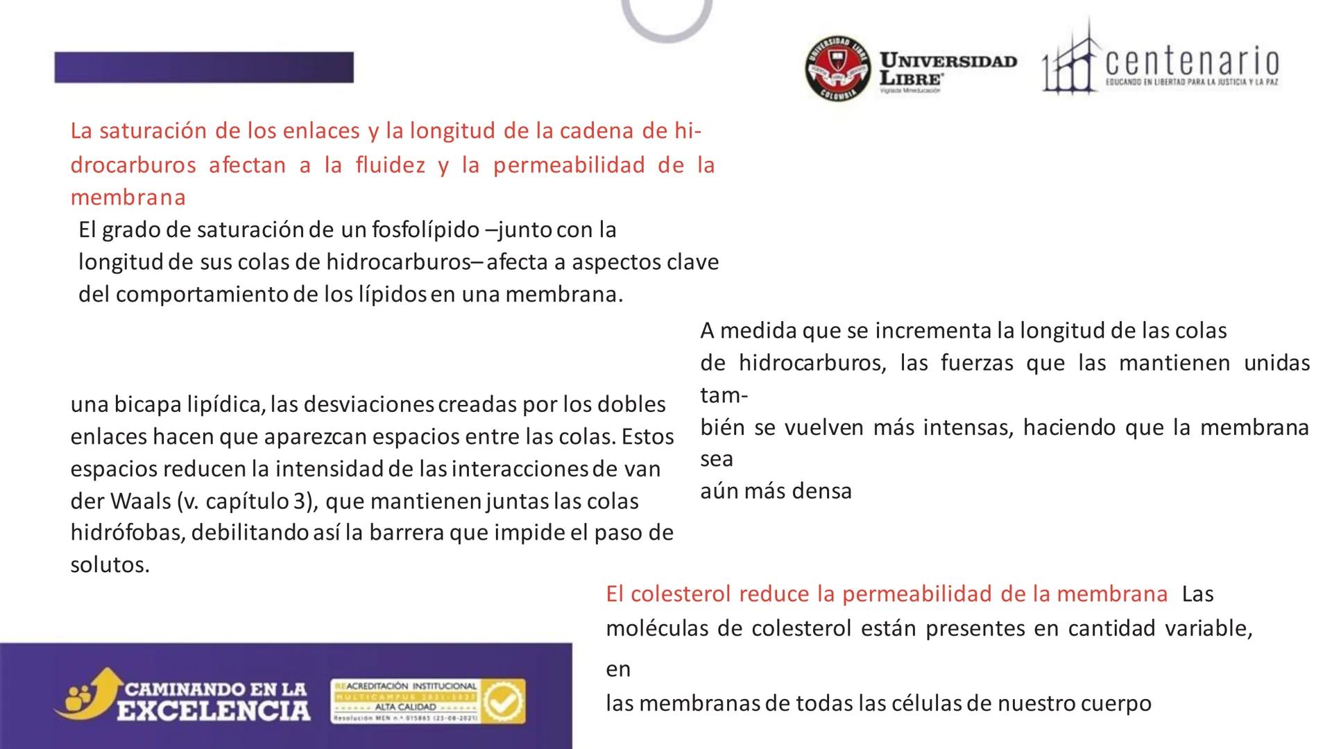 NIVERSIDAD LIBRE
COLOMBIA
UNIVERSIDAD
LIBRE
Viglade Mineducación
centenario
EDUCANDO EN LIBERTAD PARA LA JUSTICIA Y LA PAZ
# La Célula
C