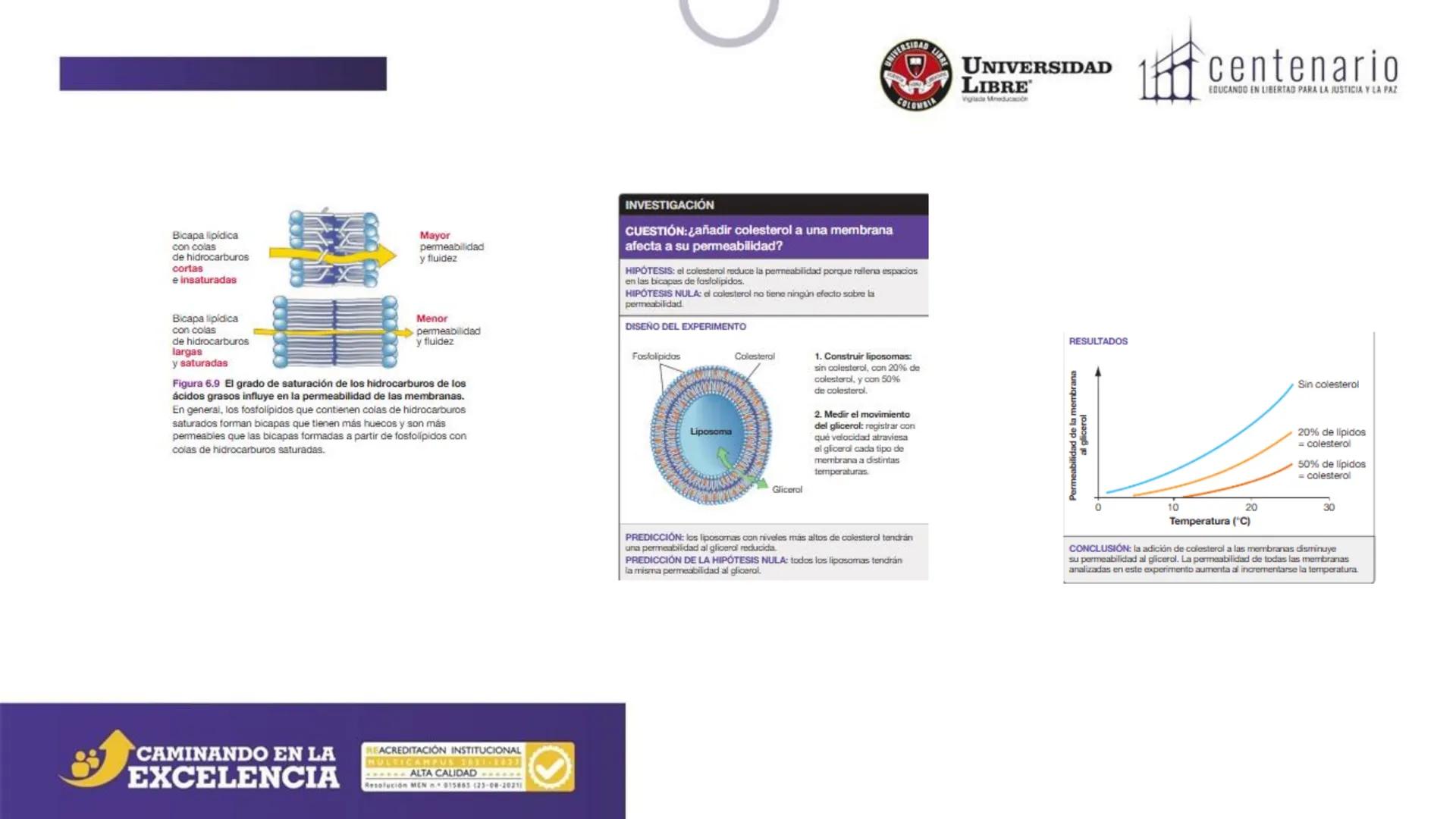 NIVERSIDAD LIBRE
COLOMBIA
UNIVERSIDAD
LIBRE
Viglade Mineducación
centenario
EDUCANDO EN LIBERTAD PARA LA JUSTICIA Y LA PAZ
# La Célula
C