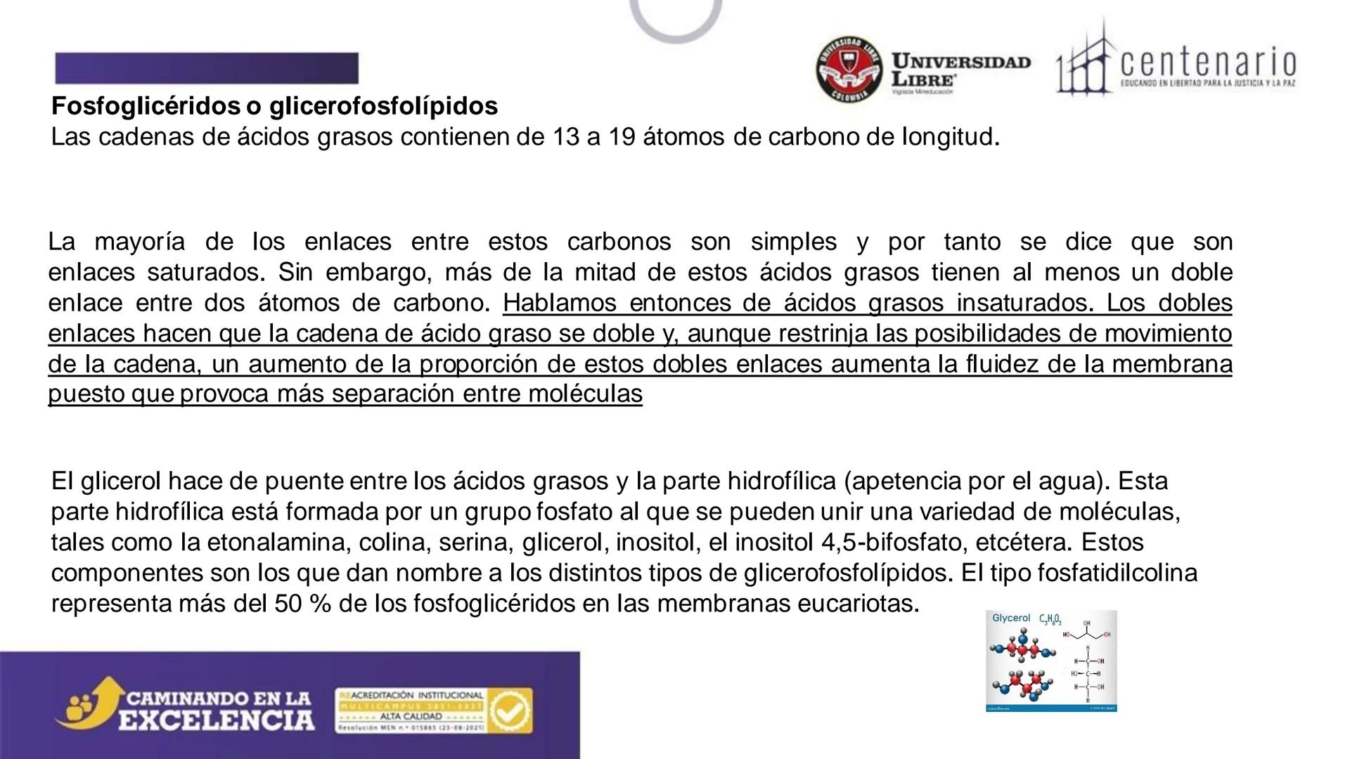 NIVERSIDAD LIBRE
COLOMBIA
UNIVERSIDAD
LIBRE
Viglade Mineducación
centenario
EDUCANDO EN LIBERTAD PARA LA JUSTICIA Y LA PAZ
# La Célula
C