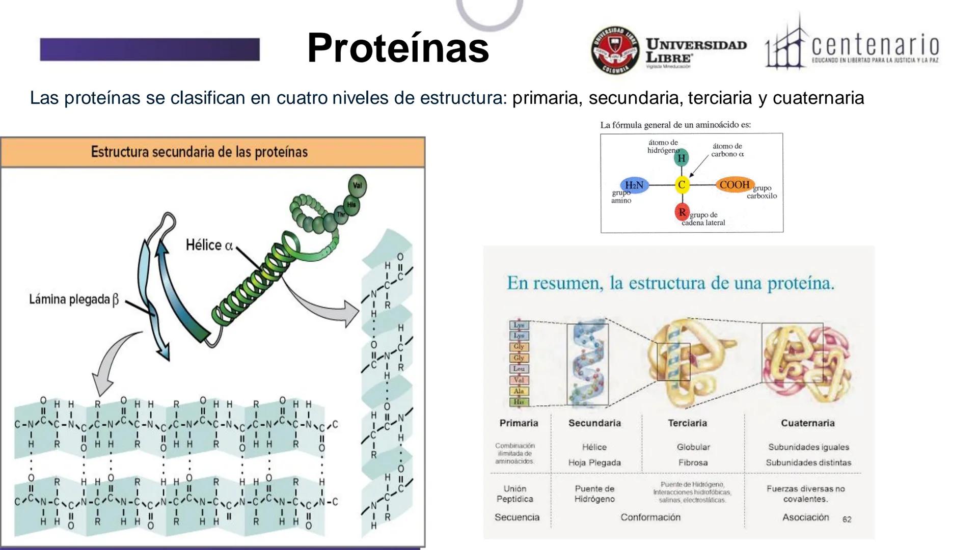 NIVERSIDAD LIBRE
COLOMBIA
UNIVERSIDAD
LIBRE
Viglade Mineducación
centenario
EDUCANDO EN LIBERTAD PARA LA JUSTICIA Y LA PAZ
# La Célula
C