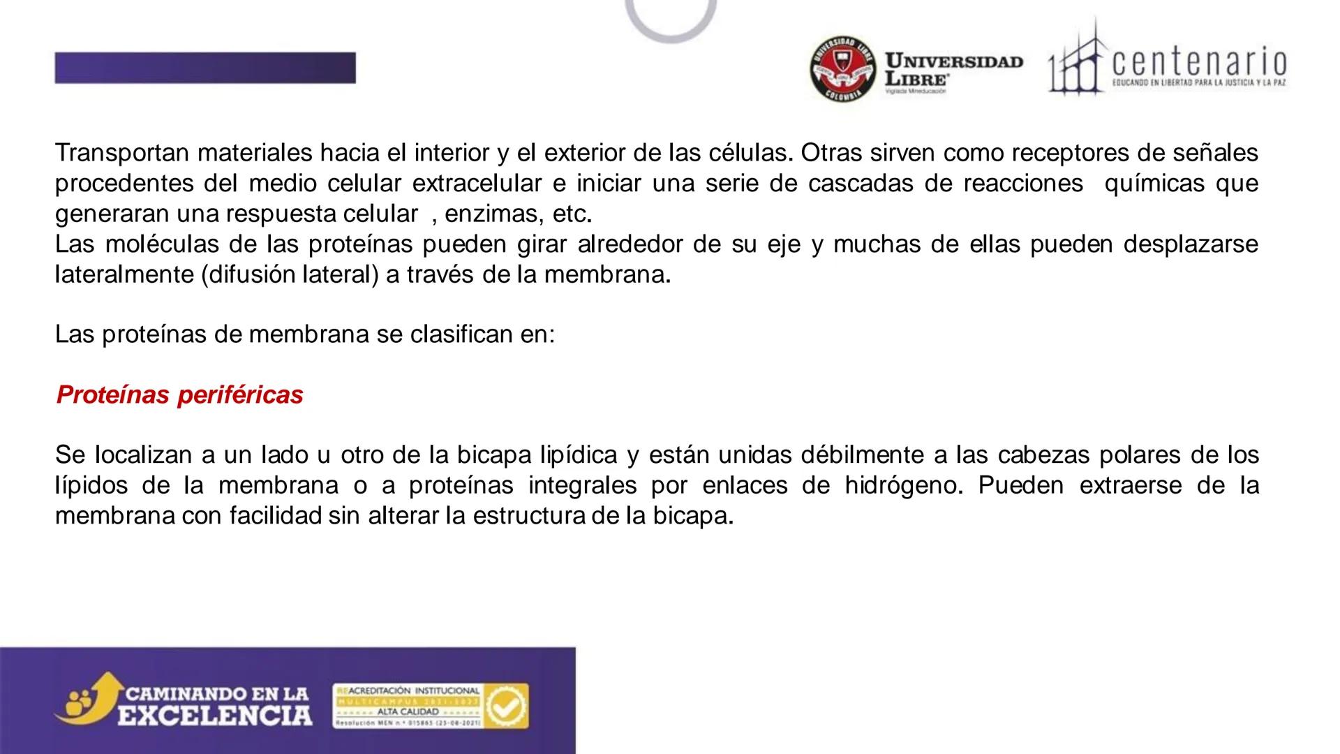 NIVERSIDAD LIBRE
COLOMBIA
UNIVERSIDAD
LIBRE
Viglade Mineducación
centenario
EDUCANDO EN LIBERTAD PARA LA JUSTICIA Y LA PAZ
# La Célula
C