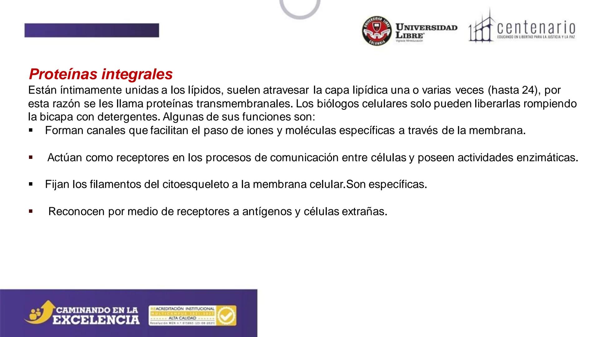 NIVERSIDAD LIBRE
COLOMBIA
UNIVERSIDAD
LIBRE
Viglade Mineducación
centenario
EDUCANDO EN LIBERTAD PARA LA JUSTICIA Y LA PAZ
# La Célula
C