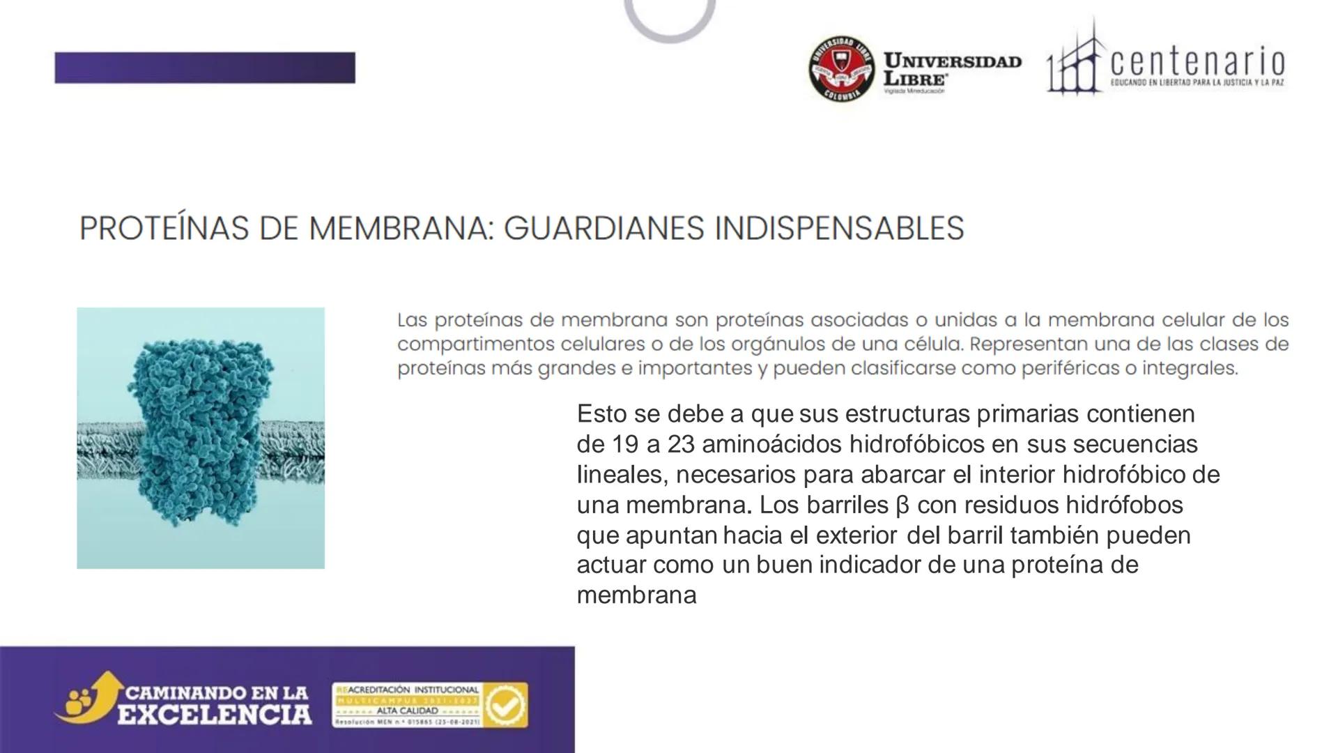 NIVERSIDAD LIBRE
COLOMBIA
UNIVERSIDAD
LIBRE
Viglade Mineducación
centenario
EDUCANDO EN LIBERTAD PARA LA JUSTICIA Y LA PAZ
# La Célula
C