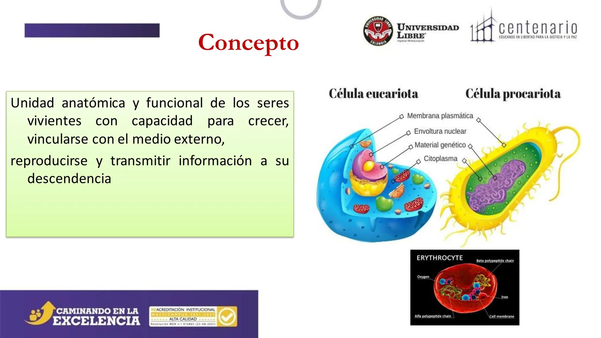NIVERSIDAD LIBRE
COLOMBIA
UNIVERSIDAD
LIBRE
Viglade Mineducación
centenario
EDUCANDO EN LIBERTAD PARA LA JUSTICIA Y LA PAZ
# La Célula
C