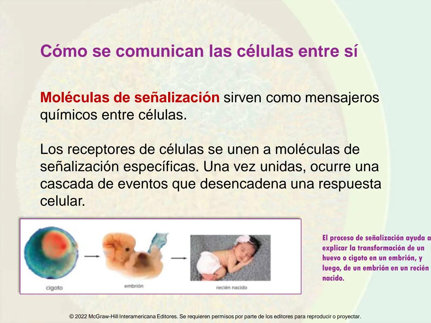 5
Estructura y función
de la membrana
5.1 Estructura y función de la
membrana plasmática
5.2 Transporte pasivo a través de la
membrana
5.3