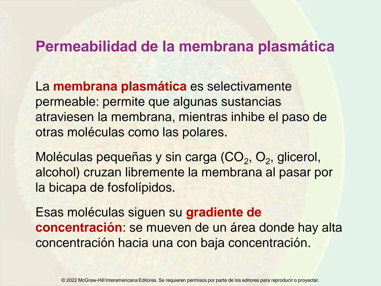 5
Estructura y función
de la membrana
5.1 Estructura y función de la
membrana plasmática
5.2 Transporte pasivo a través de la
membrana
5.3