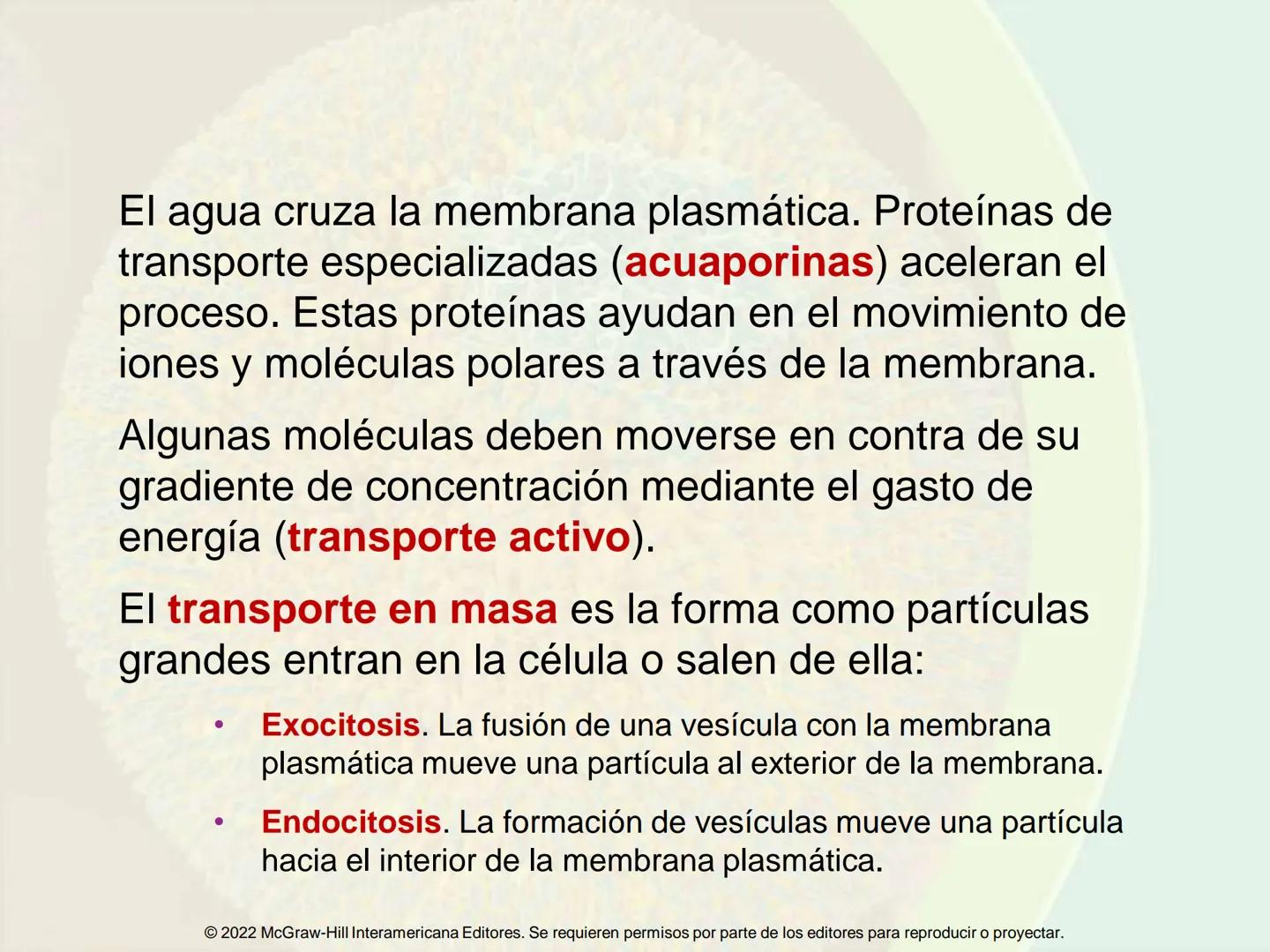 5
Estructura y función
de la membrana
5.1 Estructura y función de la
membrana plasmática
5.2 Transporte pasivo a través de la
membrana
5.3
