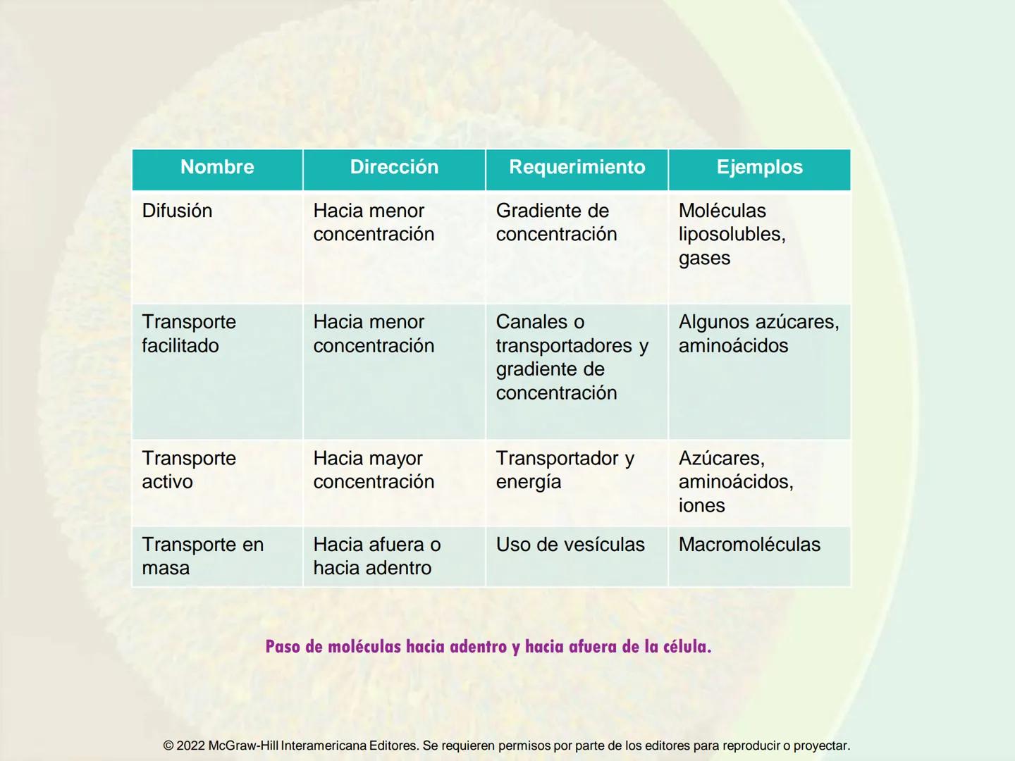 5
Estructura y función
de la membrana
5.1 Estructura y función de la
membrana plasmática
5.2 Transporte pasivo a través de la
membrana
5.3