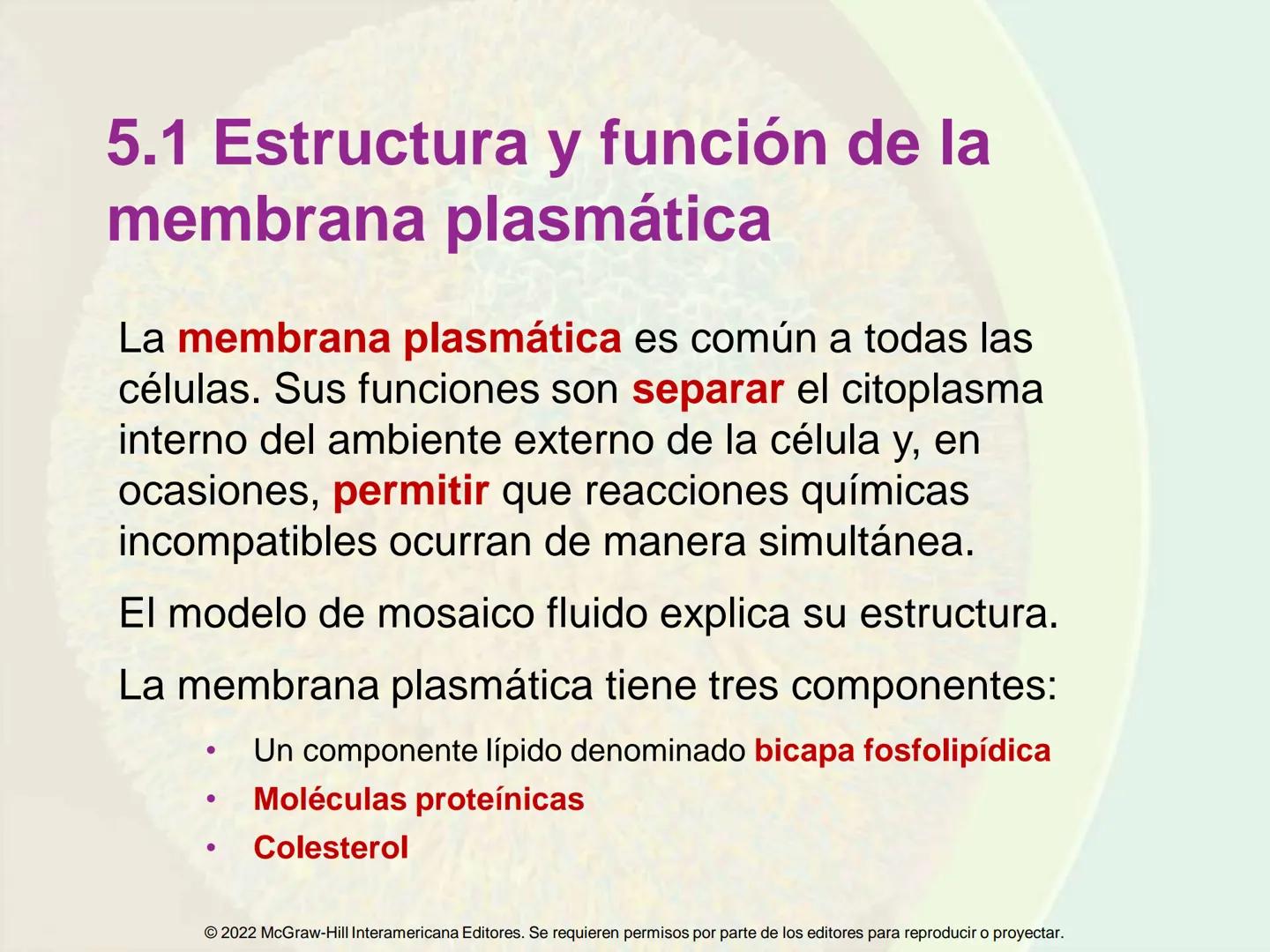 5
Estructura y función
de la membrana
5.1 Estructura y función de la
membrana plasmática
5.2 Transporte pasivo a través de la
membrana
5.3