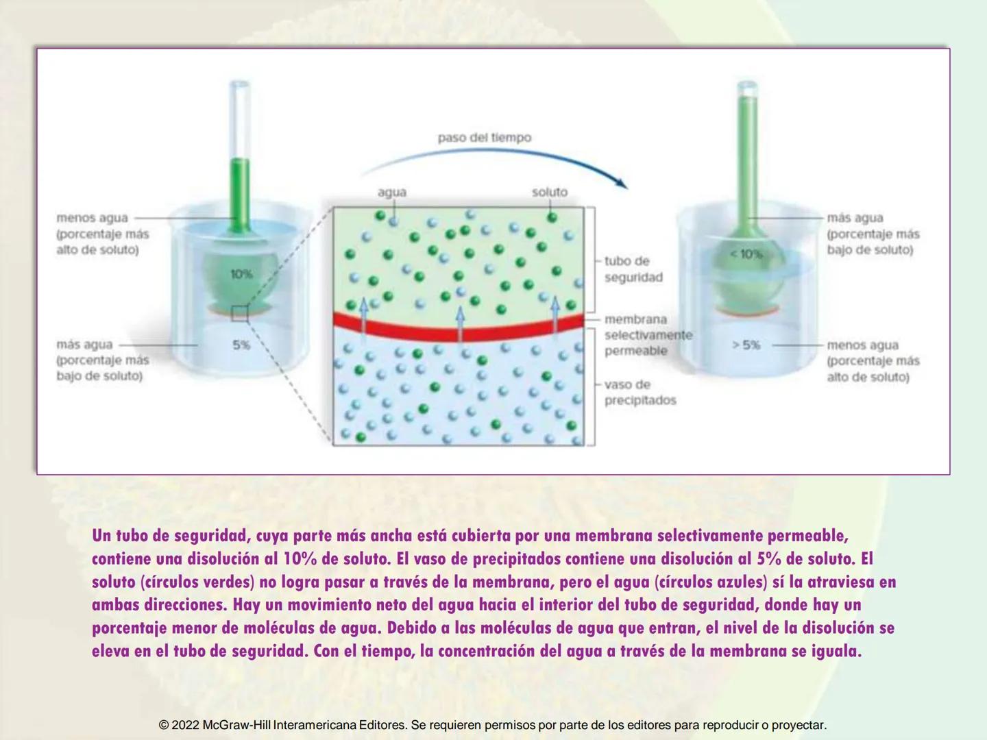 5
Estructura y función
de la membrana
5.1 Estructura y función de la
membrana plasmática
5.2 Transporte pasivo a través de la
membrana
5.3