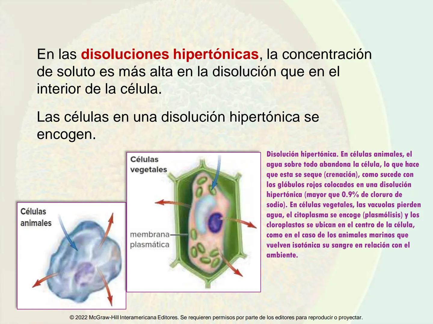 5
Estructura y función
de la membrana
5.1 Estructura y función de la
membrana plasmática
5.2 Transporte pasivo a través de la
membrana
5.3