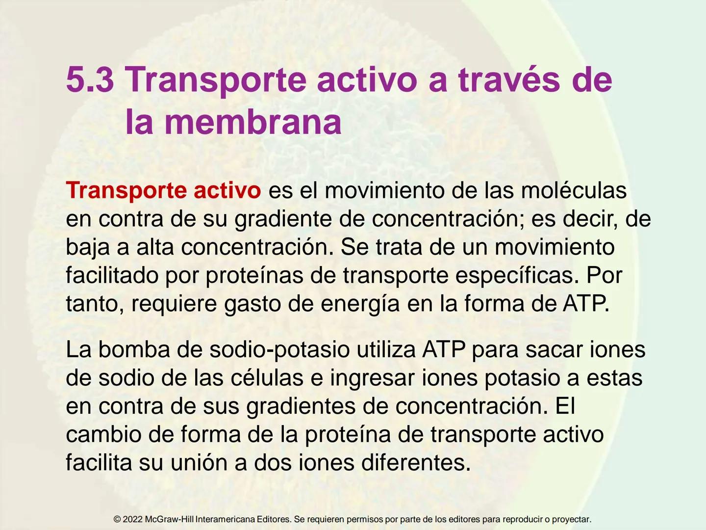 5
Estructura y función
de la membrana
5.1 Estructura y función de la
membrana plasmática
5.2 Transporte pasivo a través de la
membrana
5.3