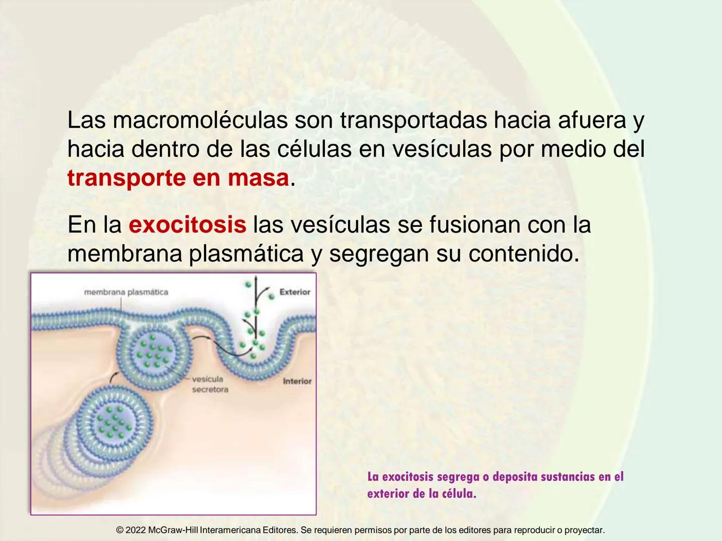 5
Estructura y función
de la membrana
5.1 Estructura y función de la
membrana plasmática
5.2 Transporte pasivo a través de la
membrana
5.3