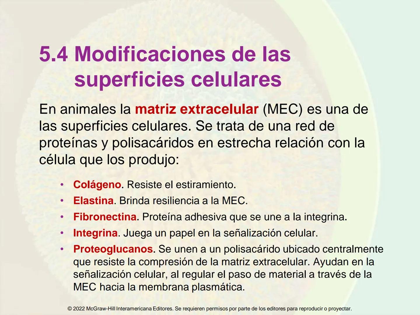 5
Estructura y función
de la membrana
5.1 Estructura y función de la
membrana plasmática
5.2 Transporte pasivo a través de la
membrana
5.3