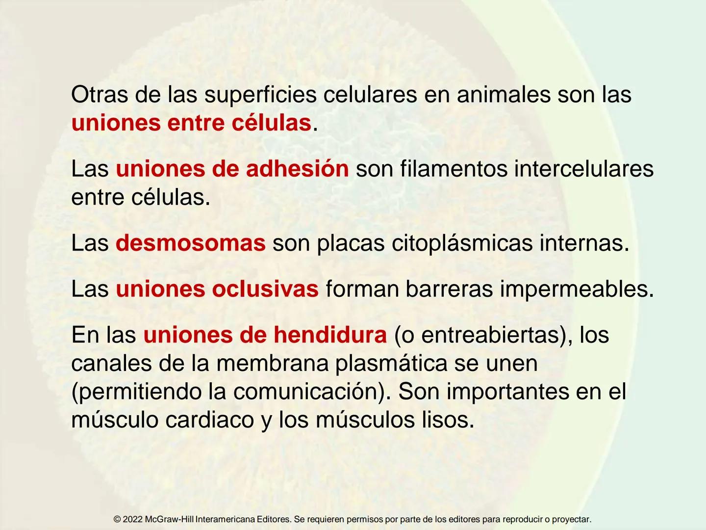 5
Estructura y función
de la membrana
5.1 Estructura y función de la
membrana plasmática
5.2 Transporte pasivo a través de la
membrana
5.3
