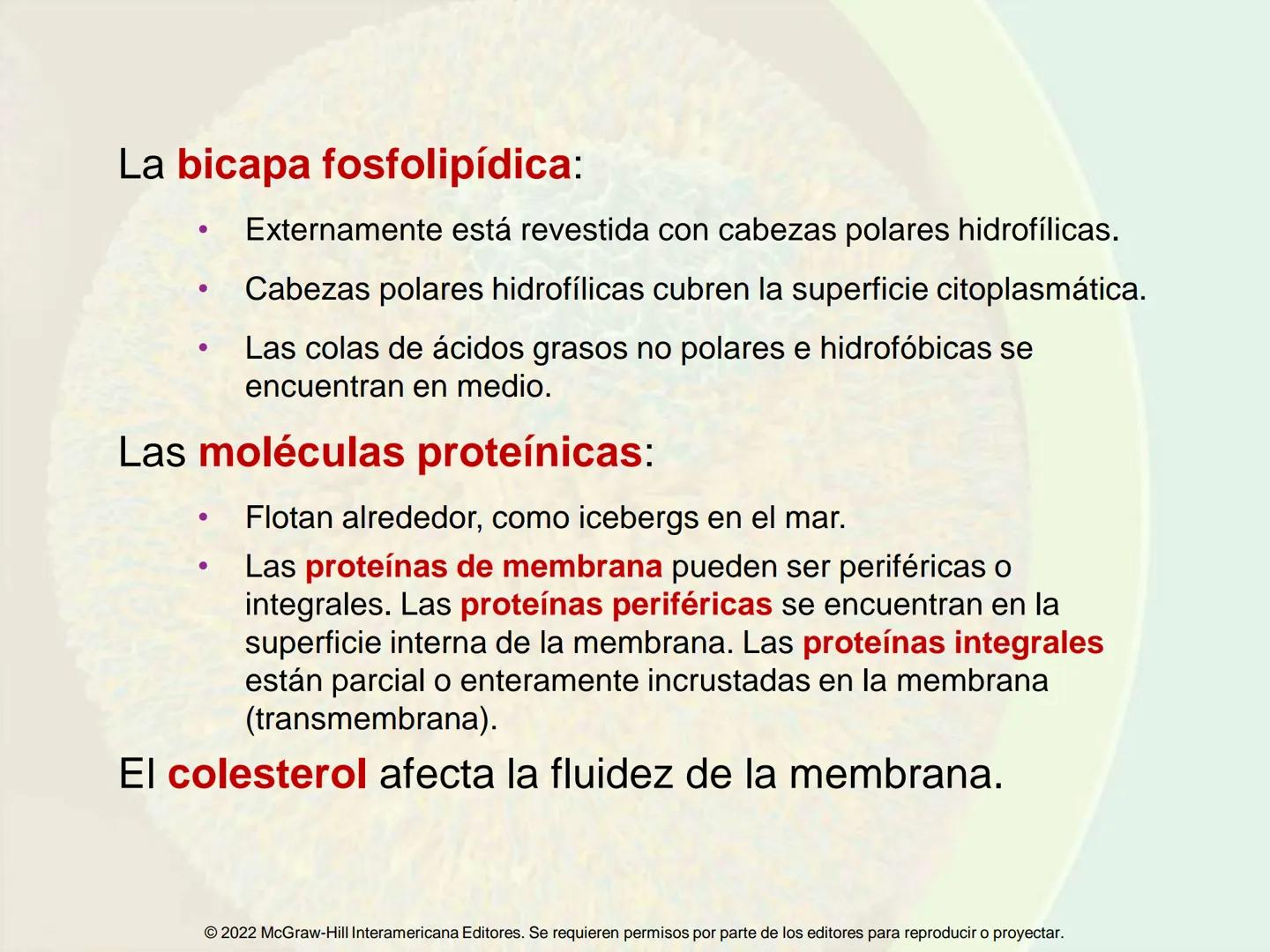 5
Estructura y función
de la membrana
5.1 Estructura y función de la
membrana plasmática
5.2 Transporte pasivo a través de la
membrana
5.3